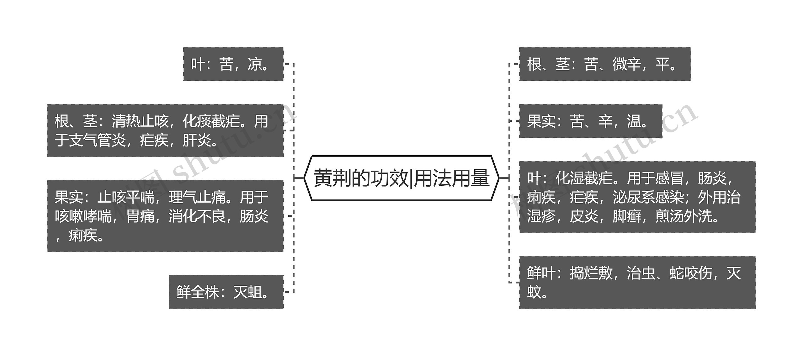 黄荆的功效|用法用量思维导图