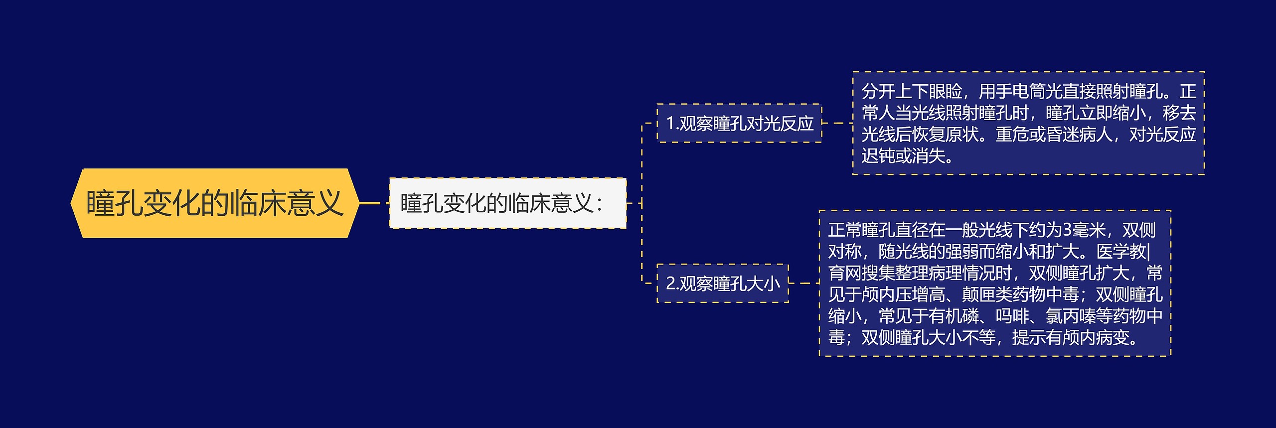 瞳孔变化的临床意义思维导图