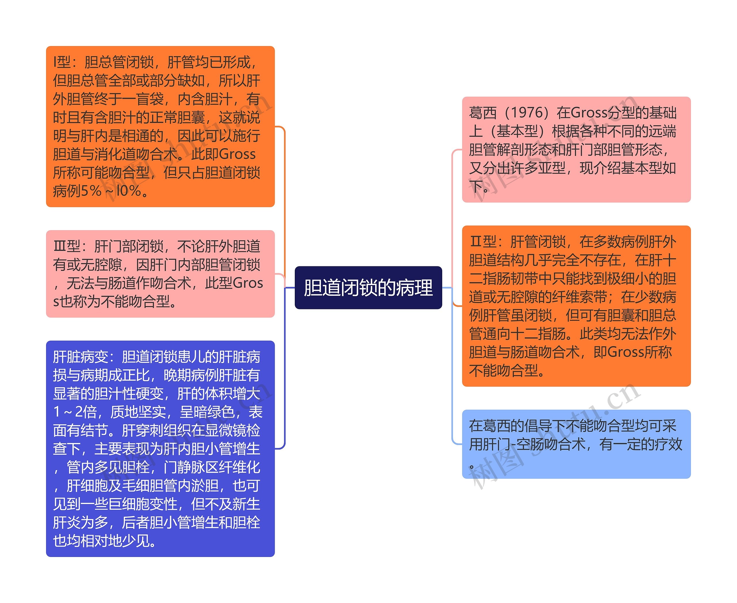 胆道闭锁的病理思维导图