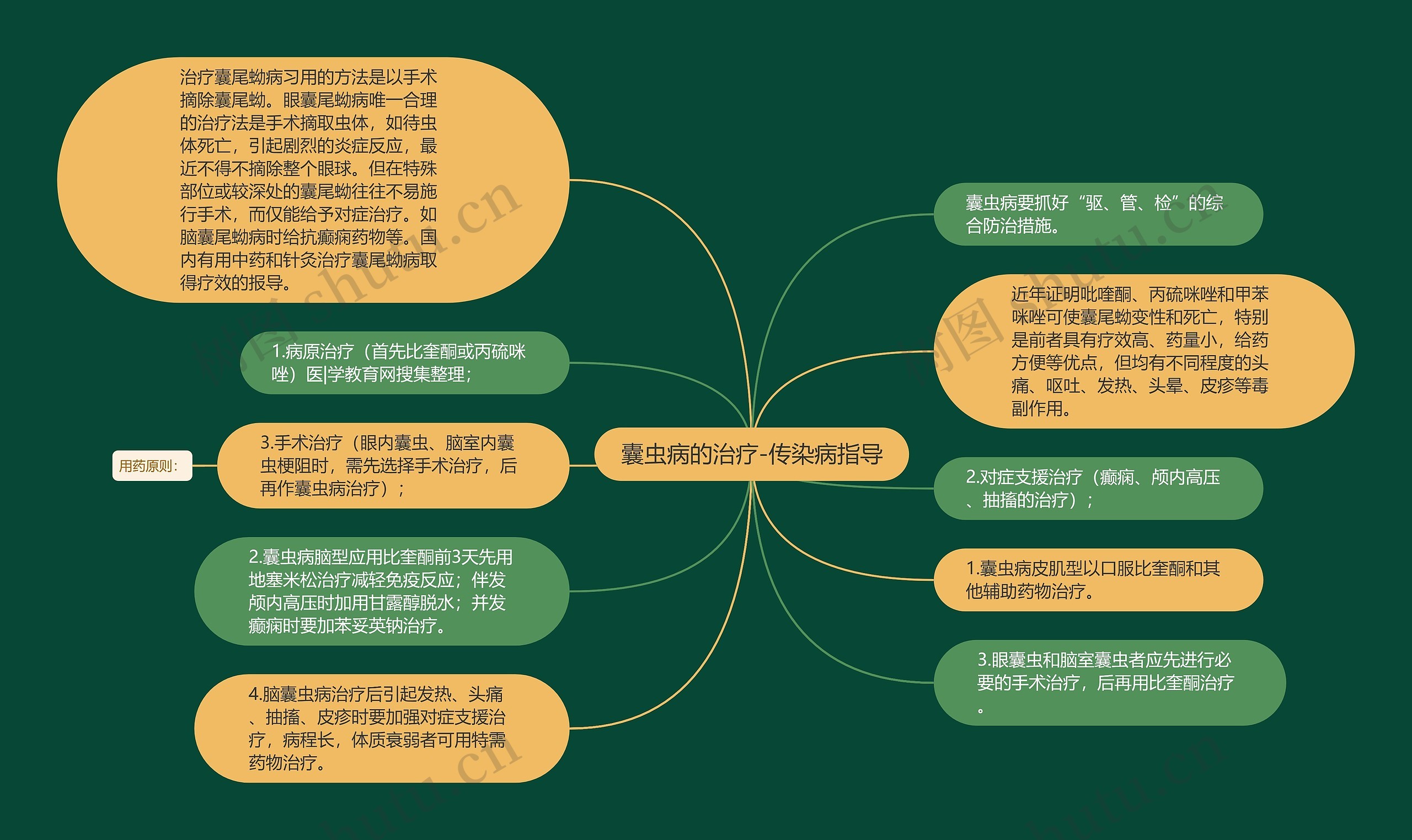 囊虫病的治疗-传染病指导思维导图