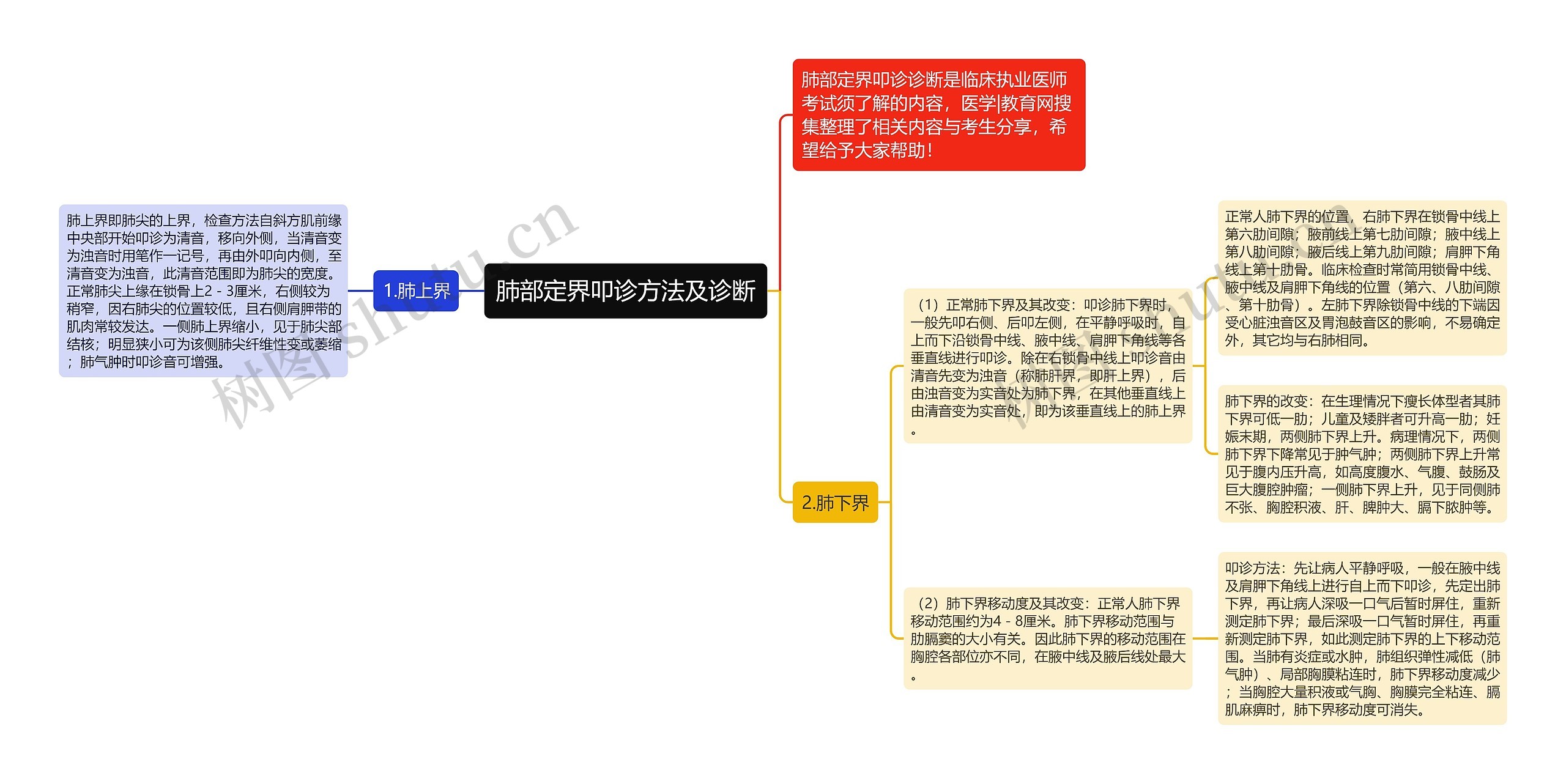 肺部定界叩诊方法及诊断思维导图