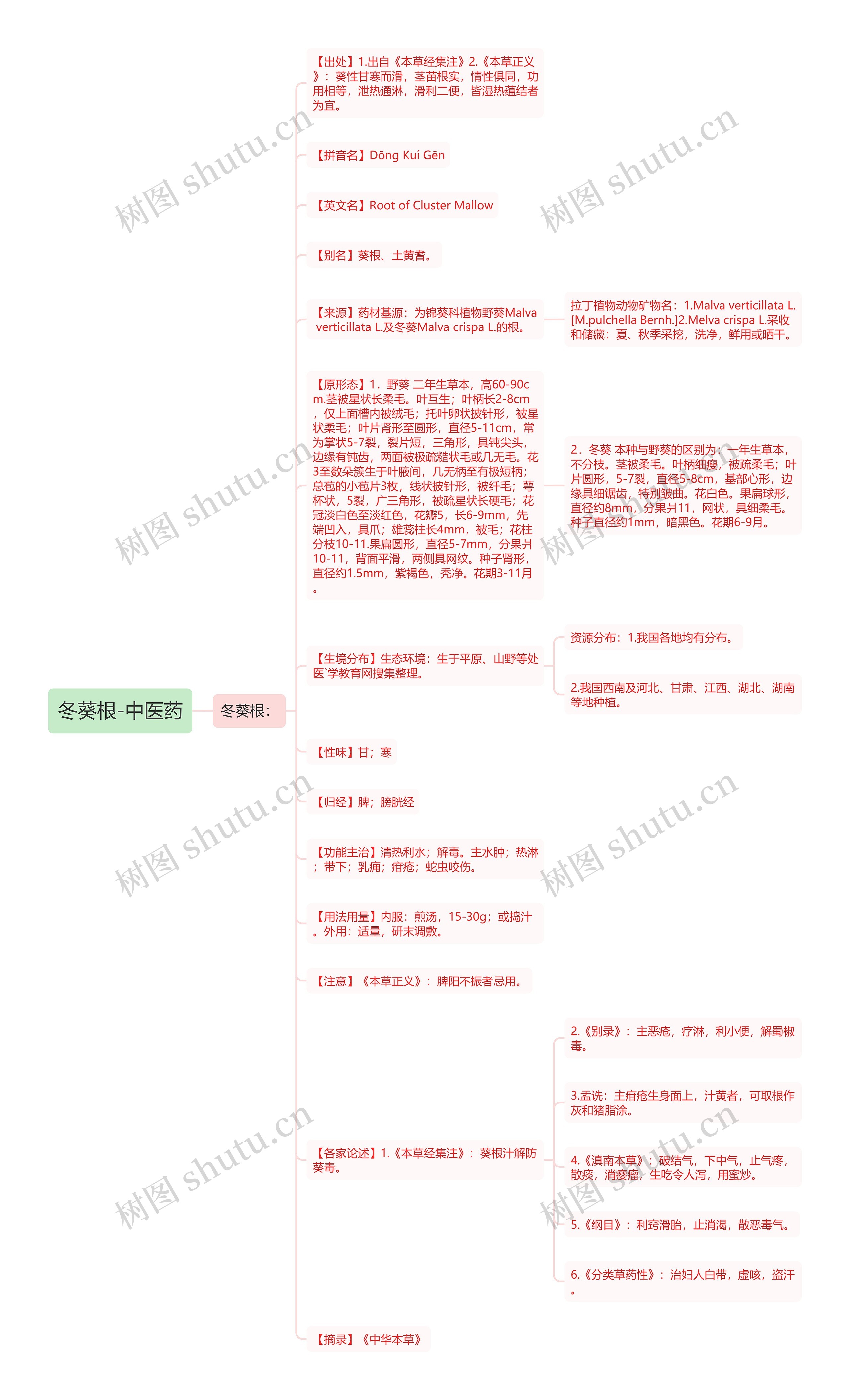 冬葵根-中医药思维导图