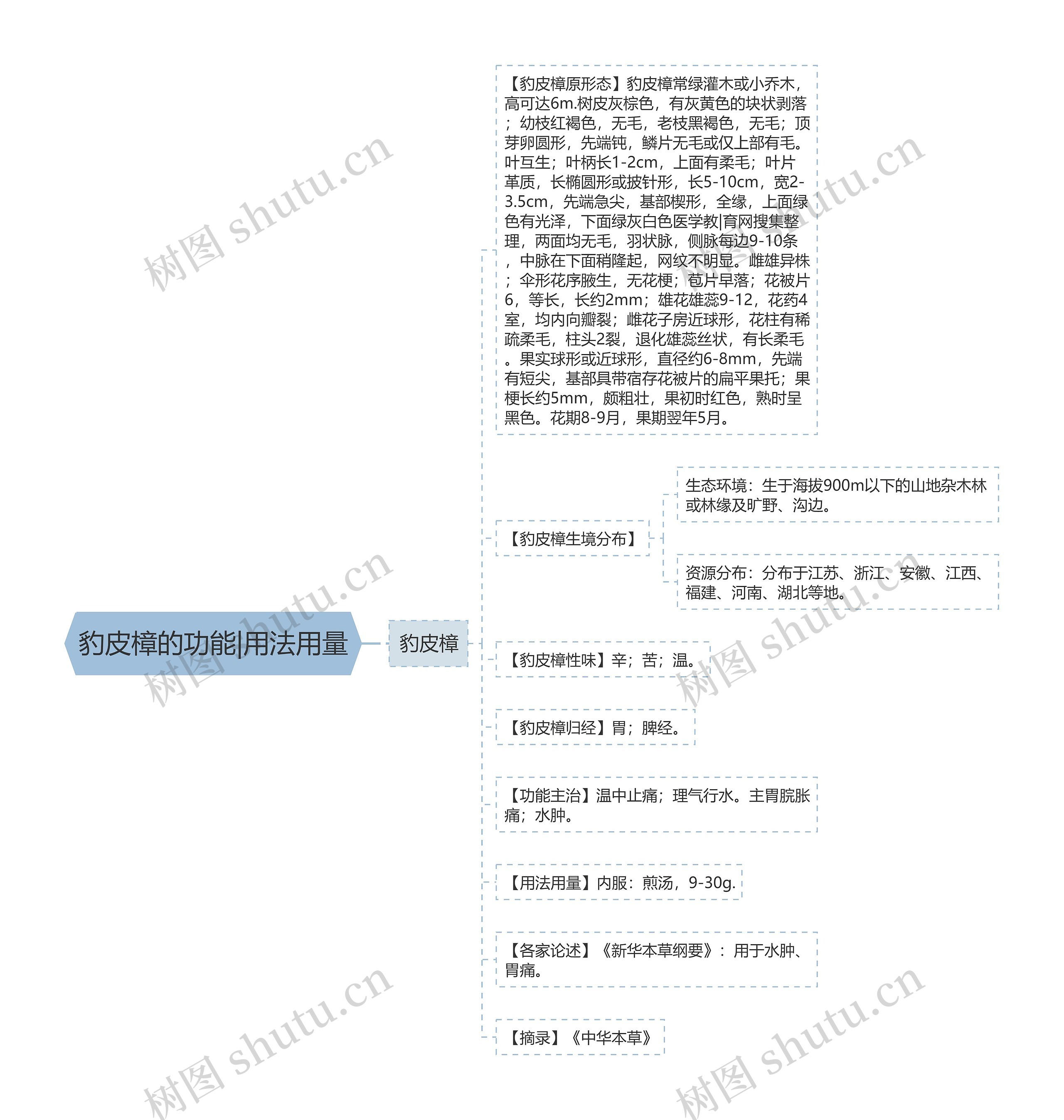 豹皮樟的功能|用法用量