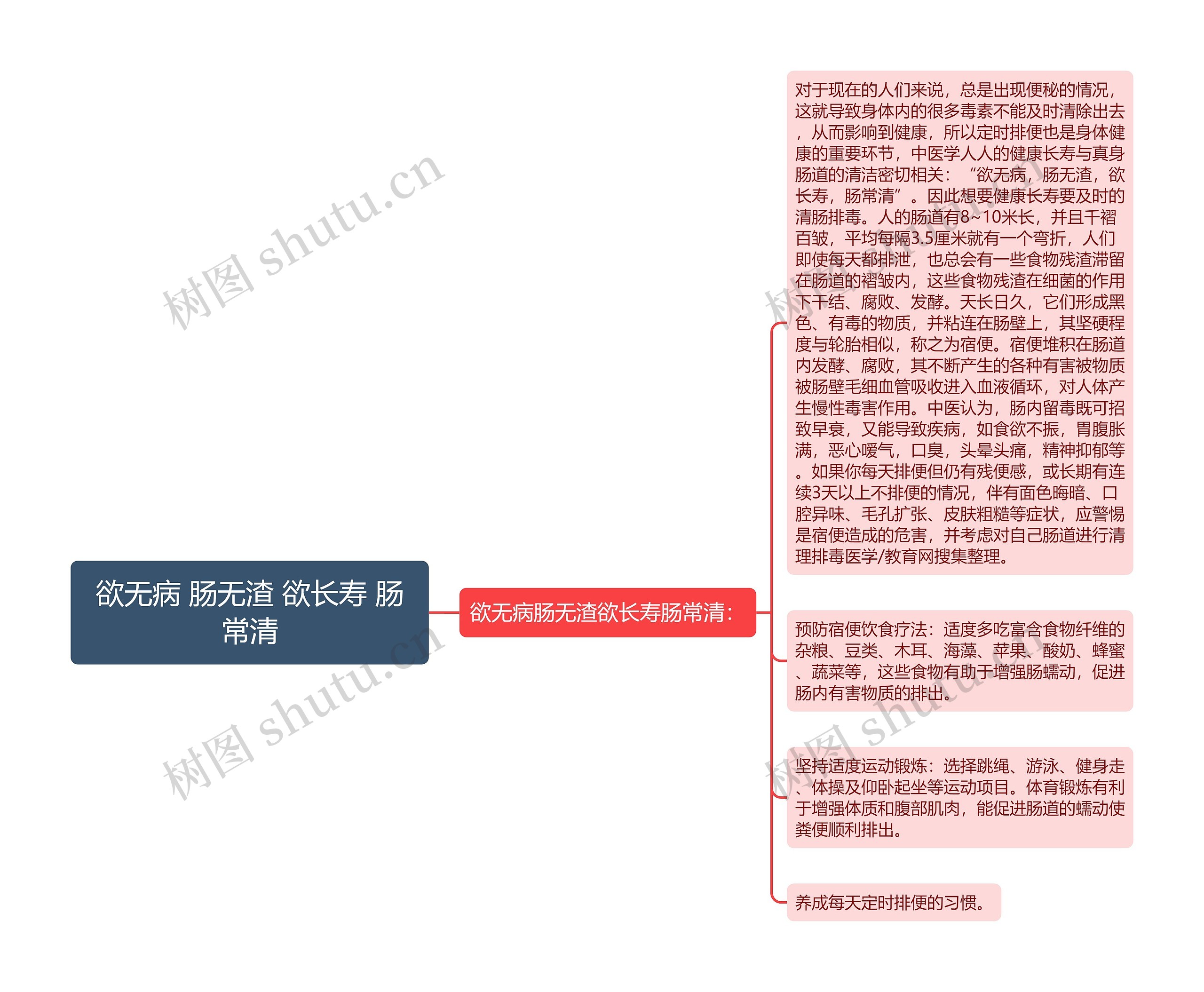 欲无病 肠无渣 欲长寿 肠常清思维导图