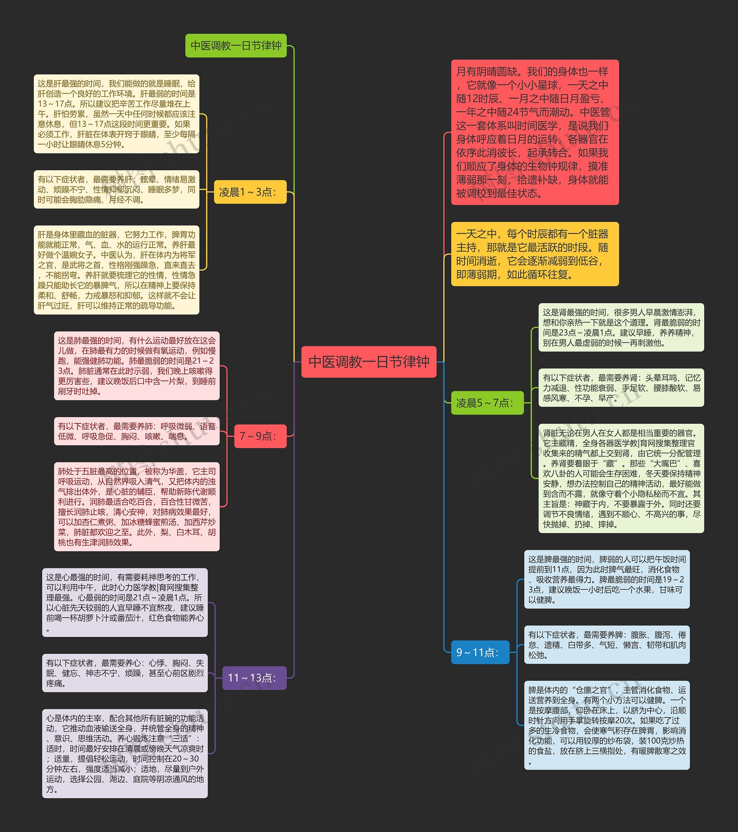 中医调教一日节律钟 中医调教一日节律钟