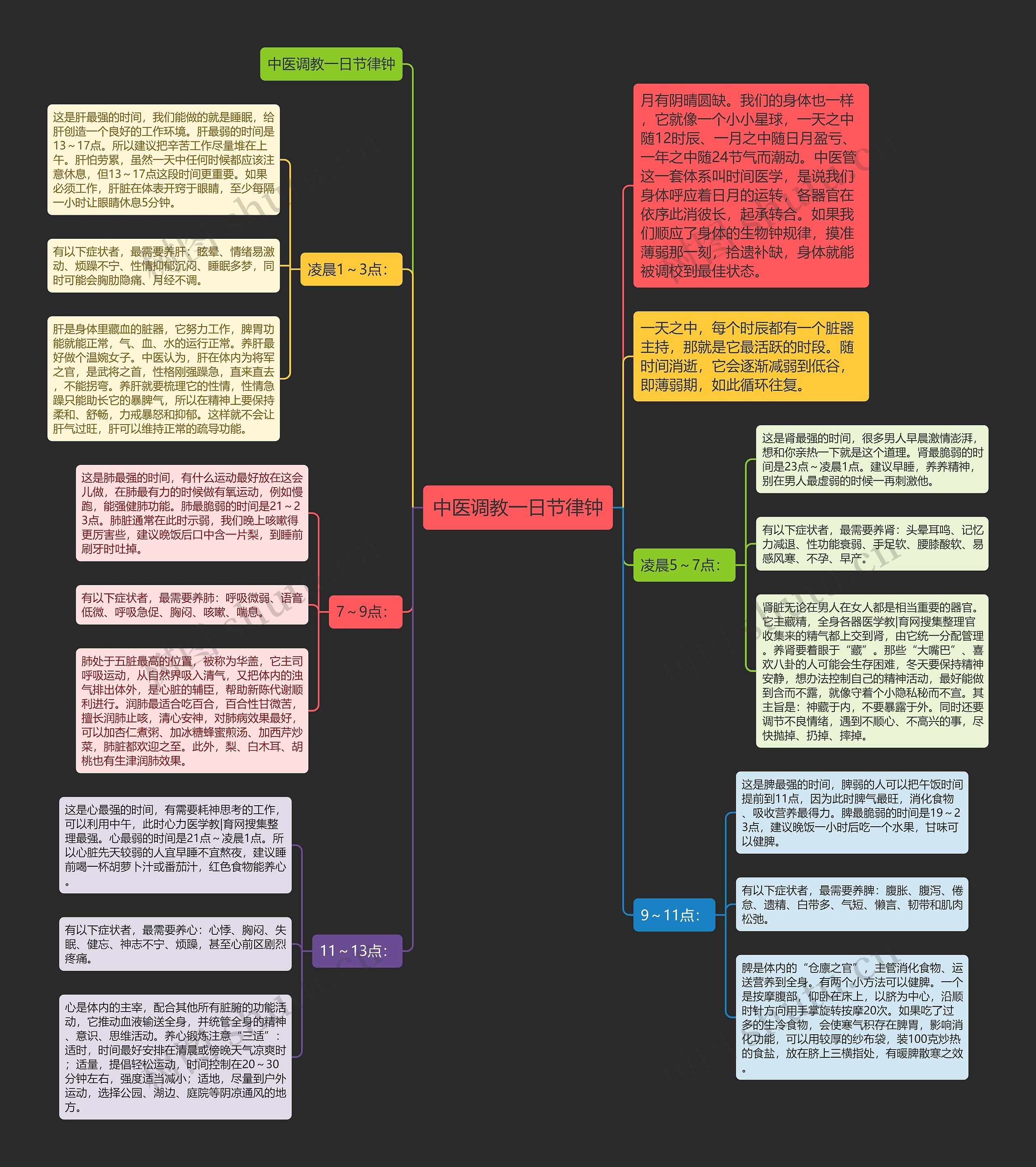 中医调教一日节律钟思维导图