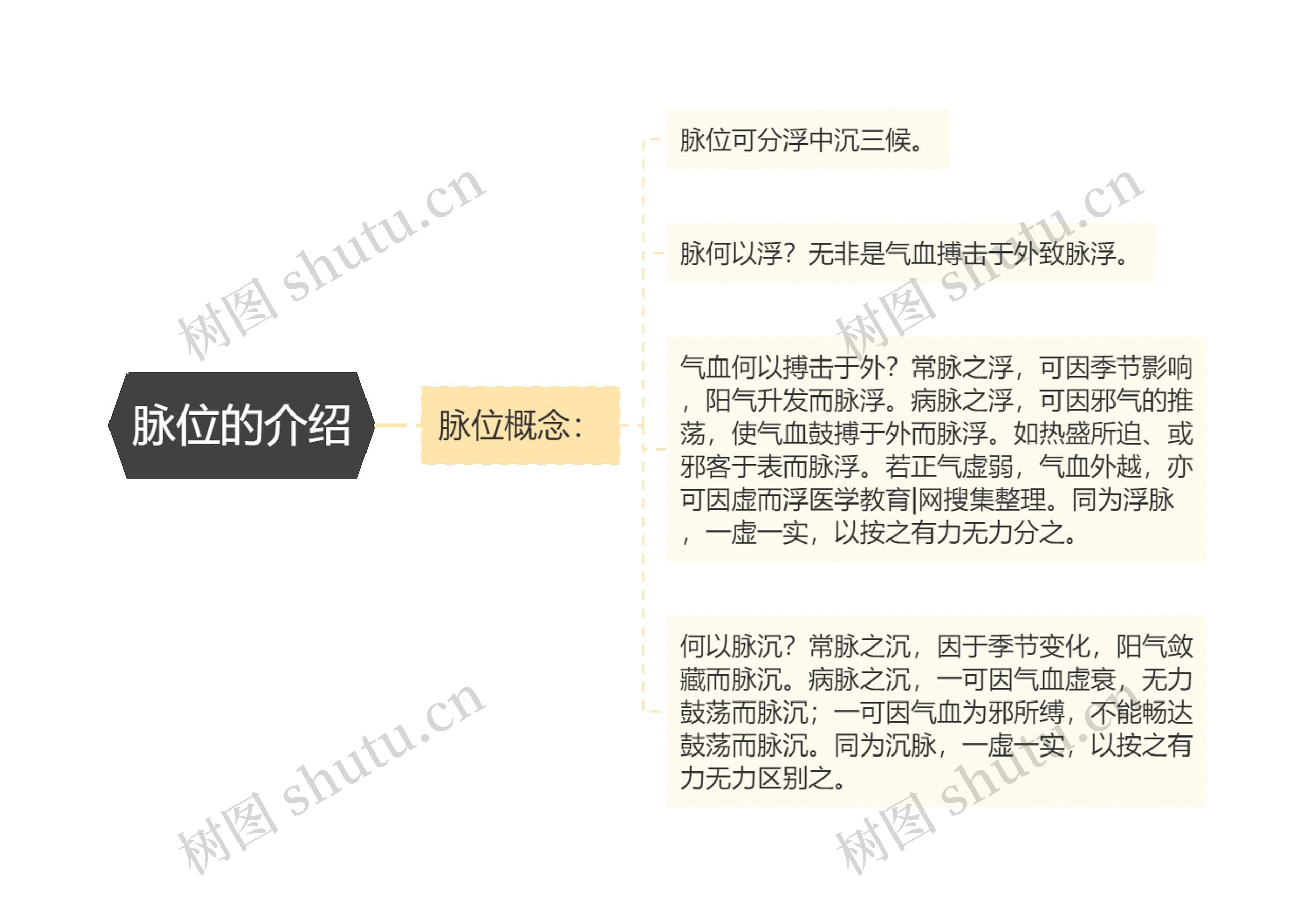 脉位的介绍 脉位的介绍