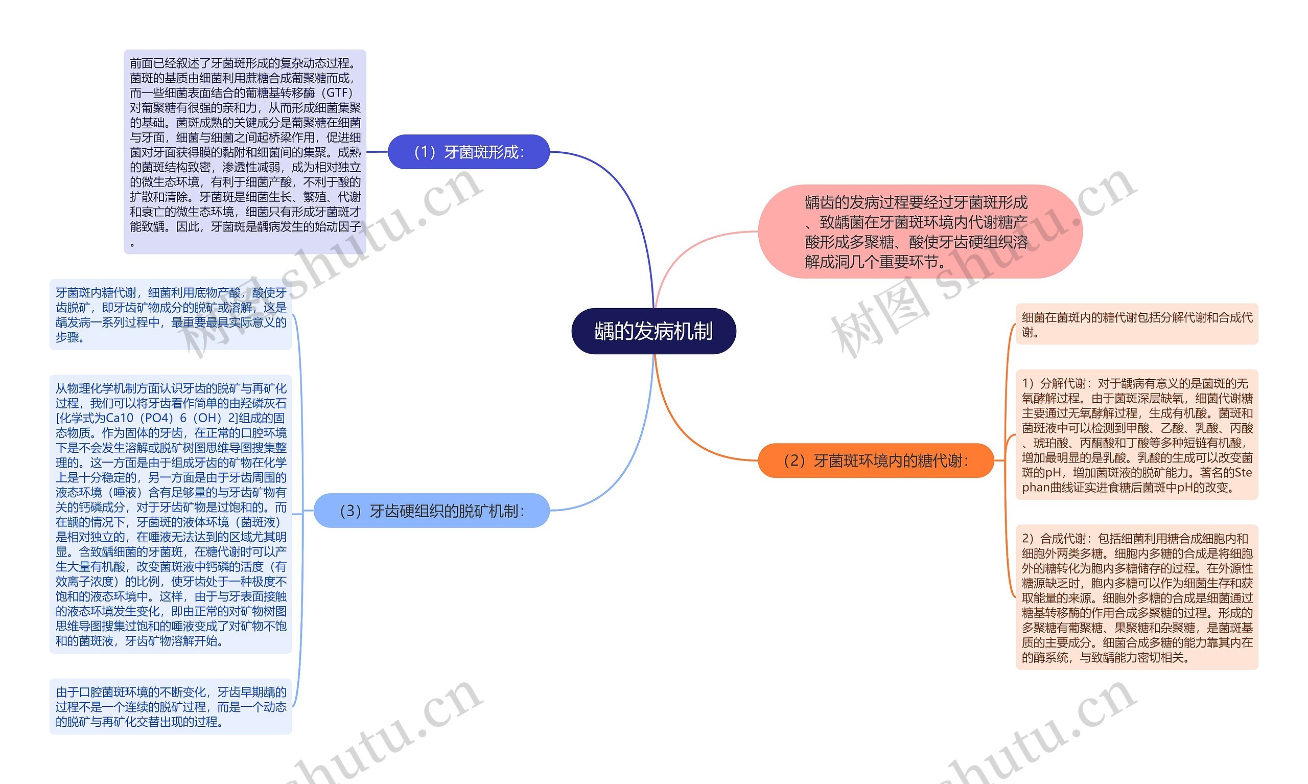 龋的发病机制