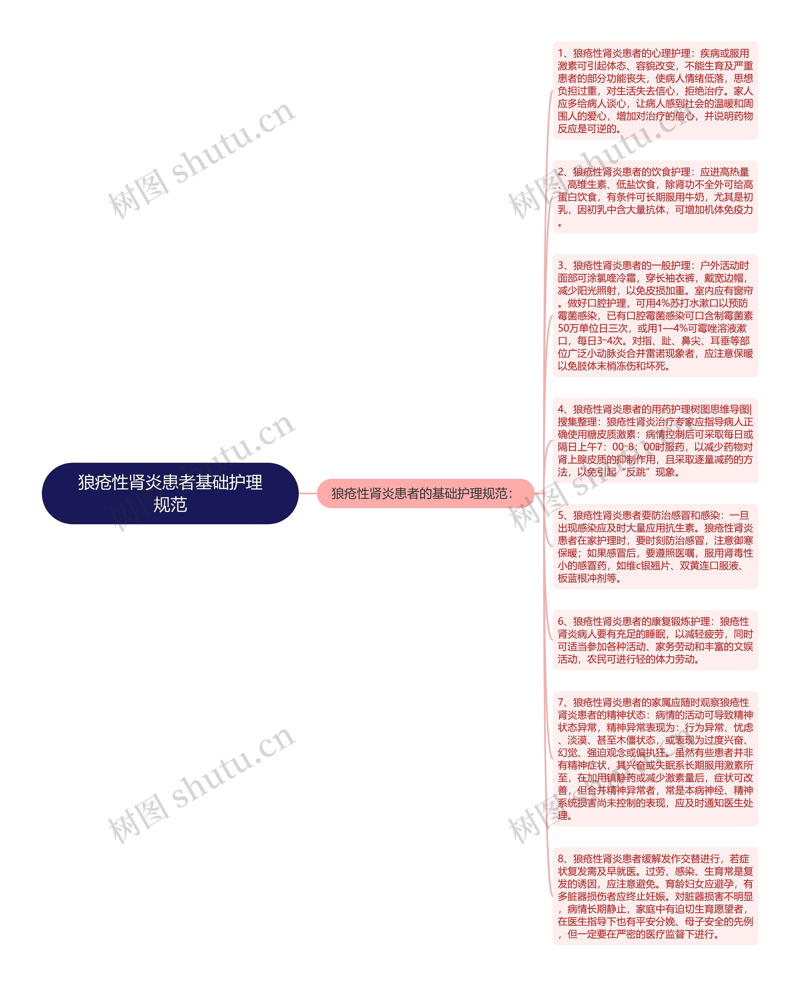 狼疮性肾炎患者基础护理规范