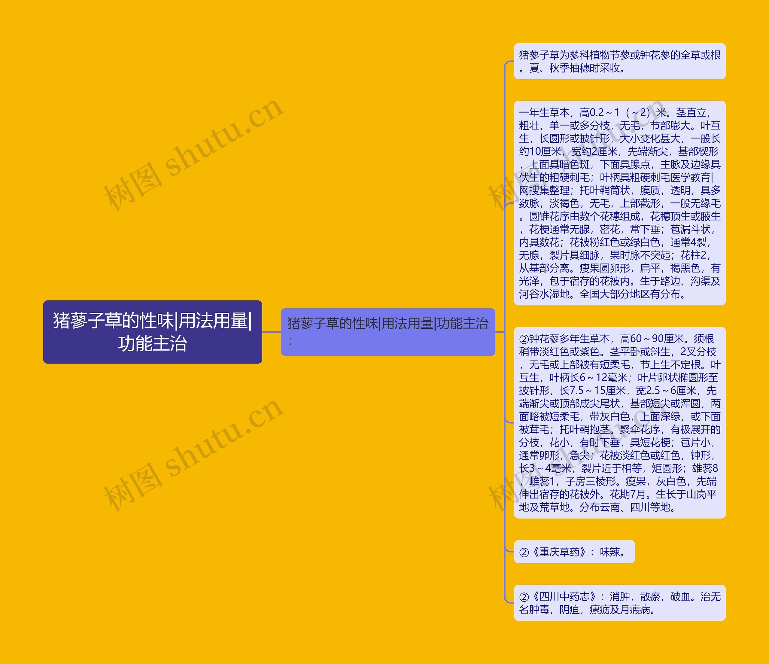 猪蓼子草的性味|用法用量|功能主治