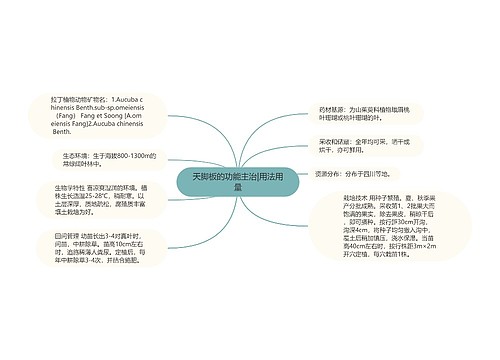 天脚板的功能主治|用法用量