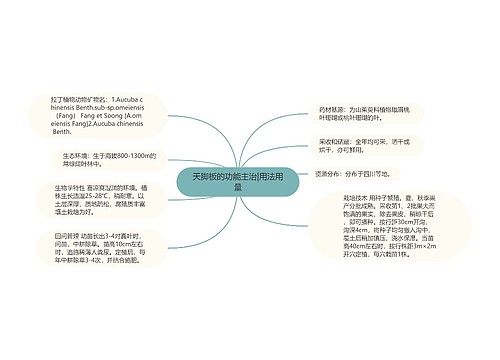 天脚板的功能主治|用法用量