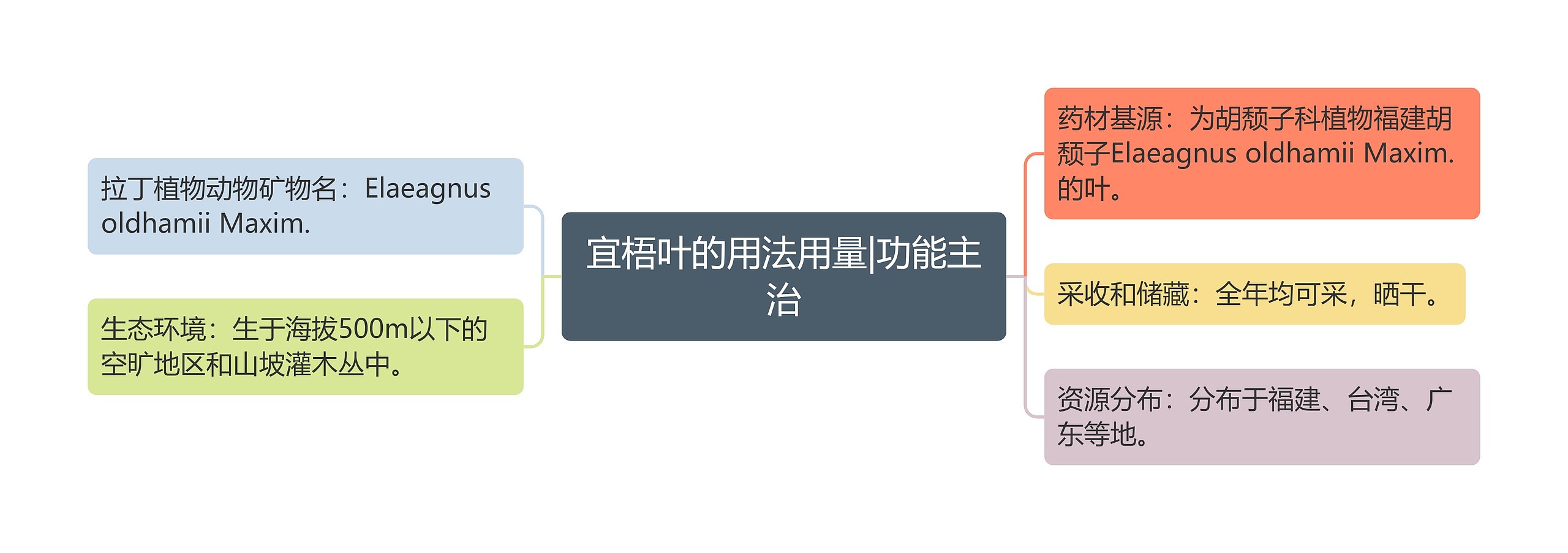宜梧叶的用法用量|功能主治