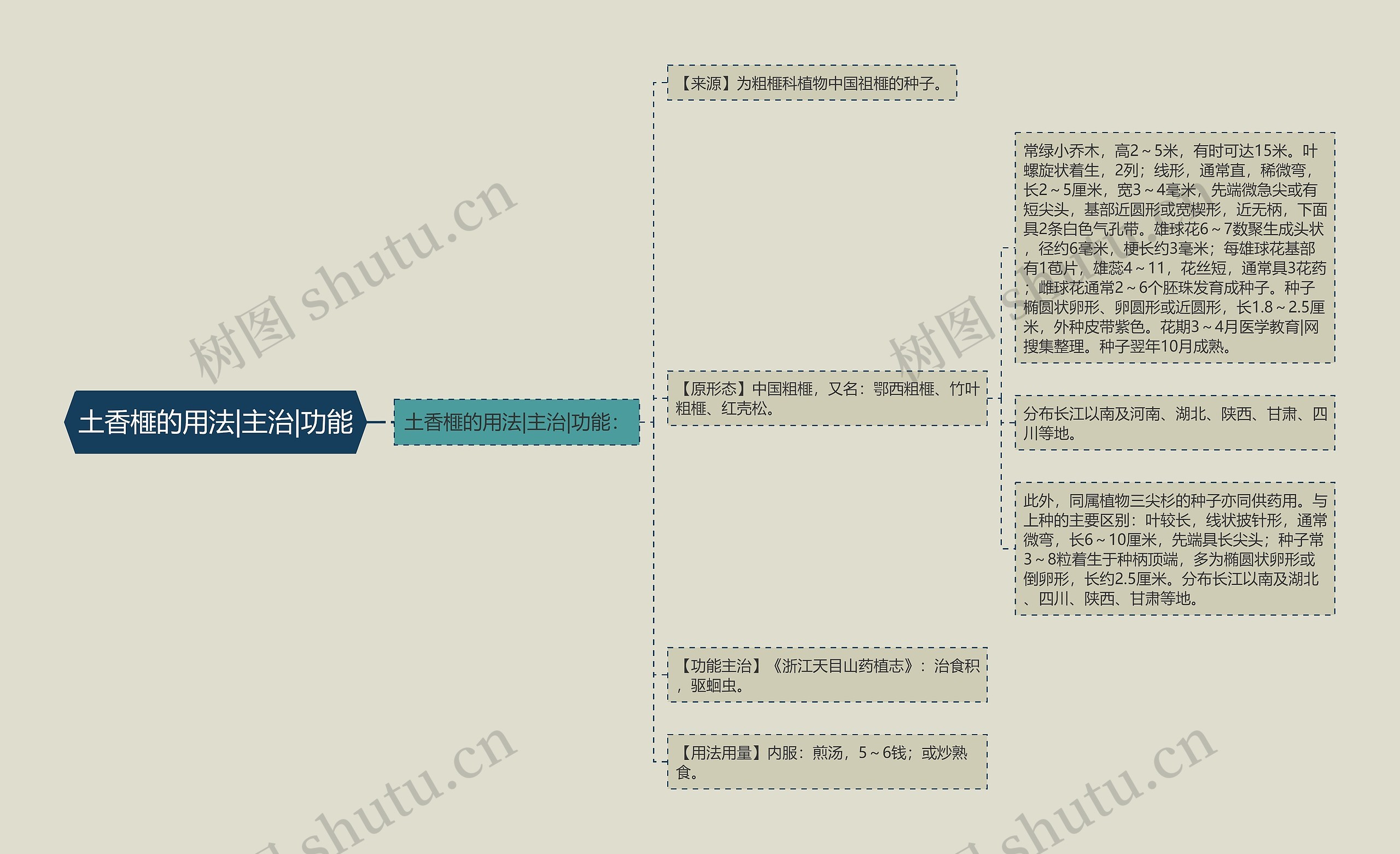 土香榧的用法|主治|功能思维导图
