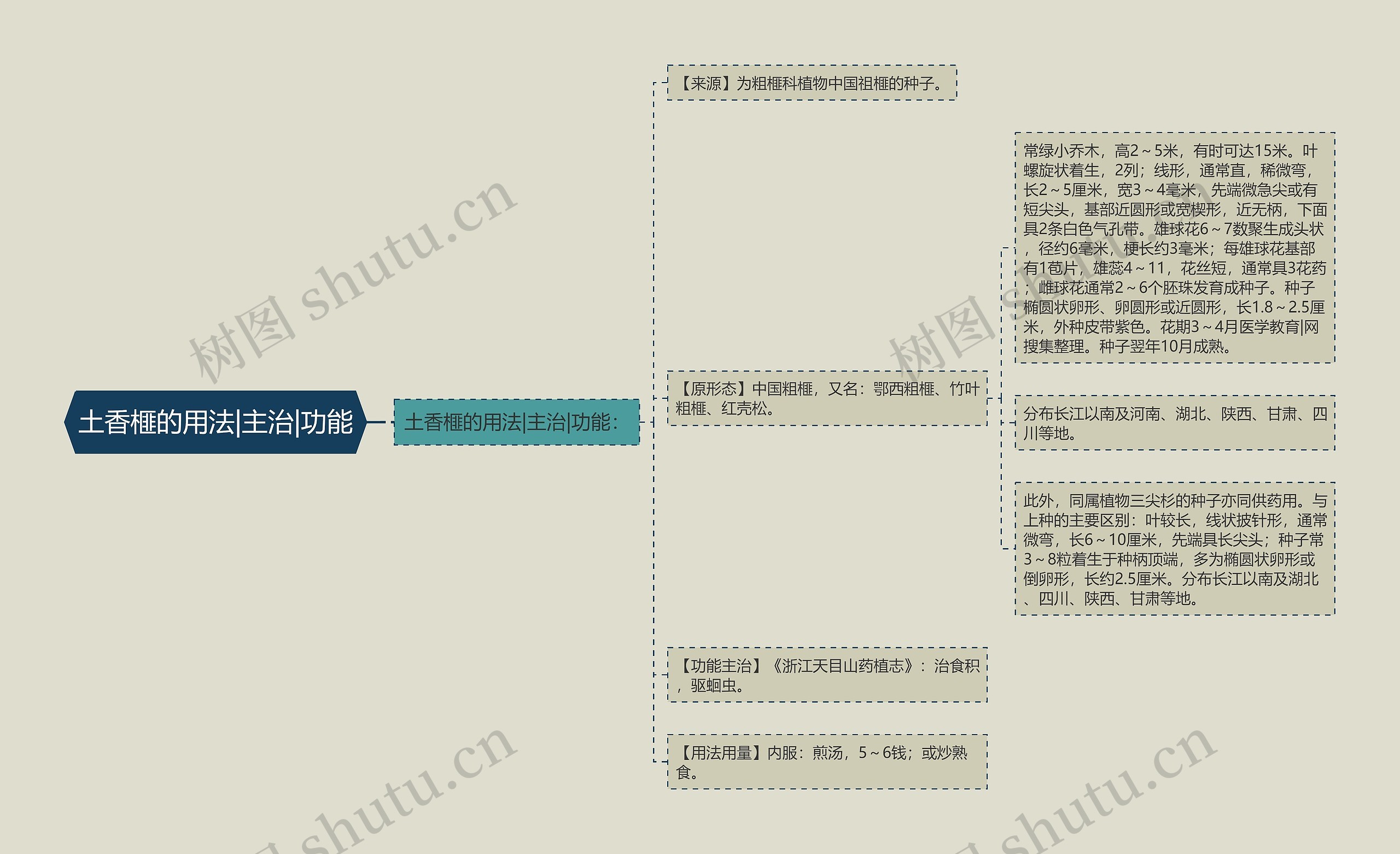 土香榧的用法|主治|功能 土香榧的用法|主治|功能