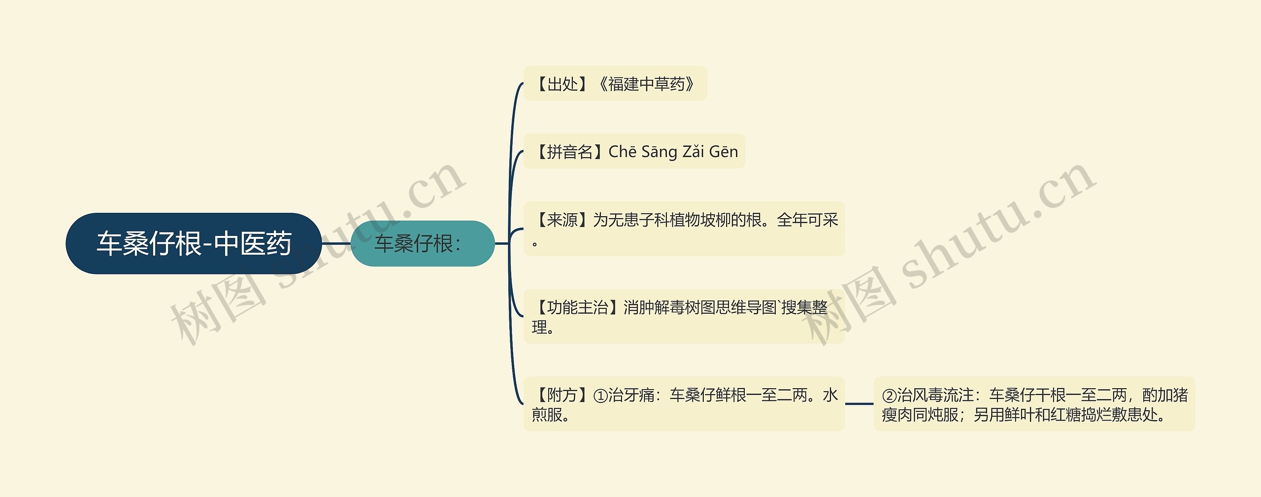 车桑仔根-中医药思维导图