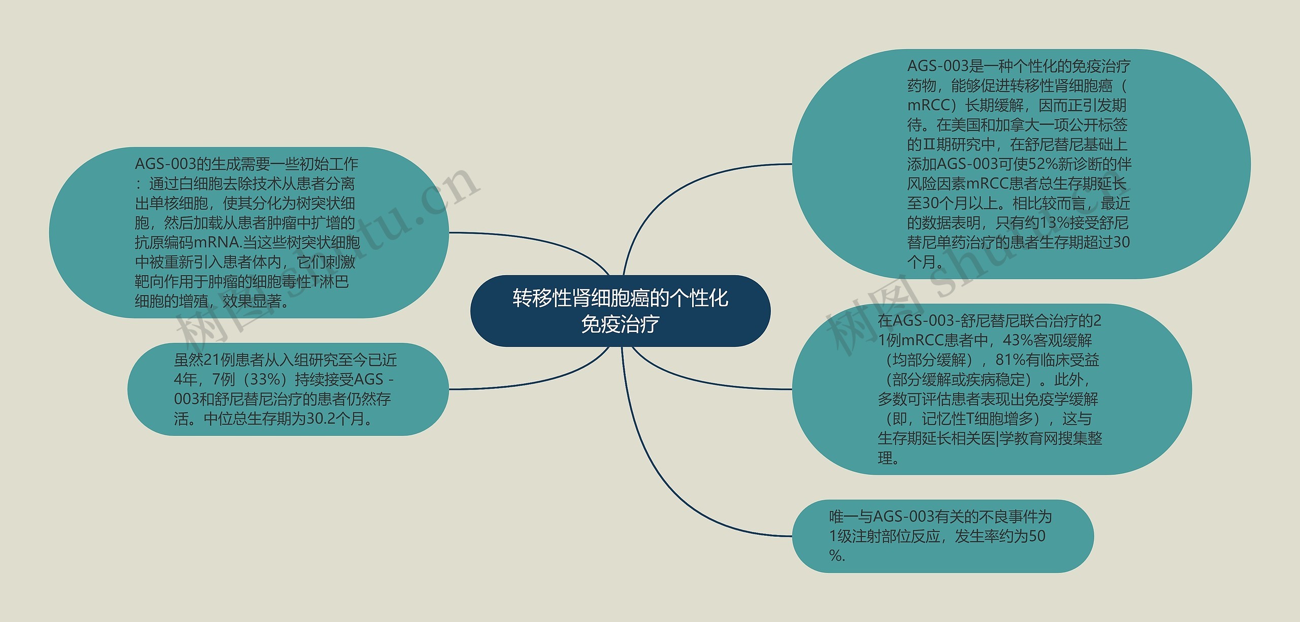 转移性肾细胞癌的个性化免疫治疗思维导图