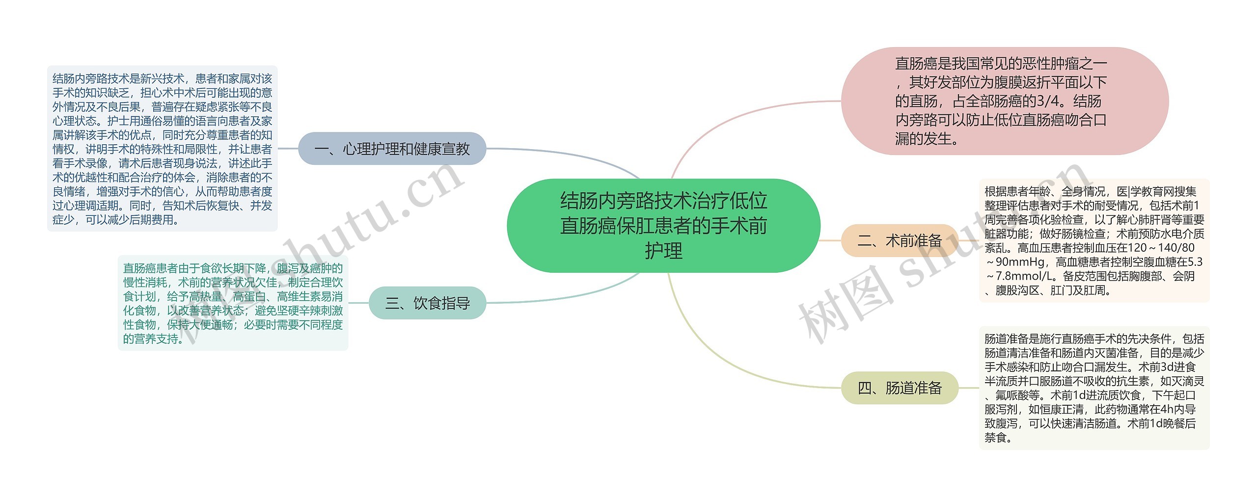 结肠内旁路技术治疗低位直肠癌保肛患者的手术前护理思维导图