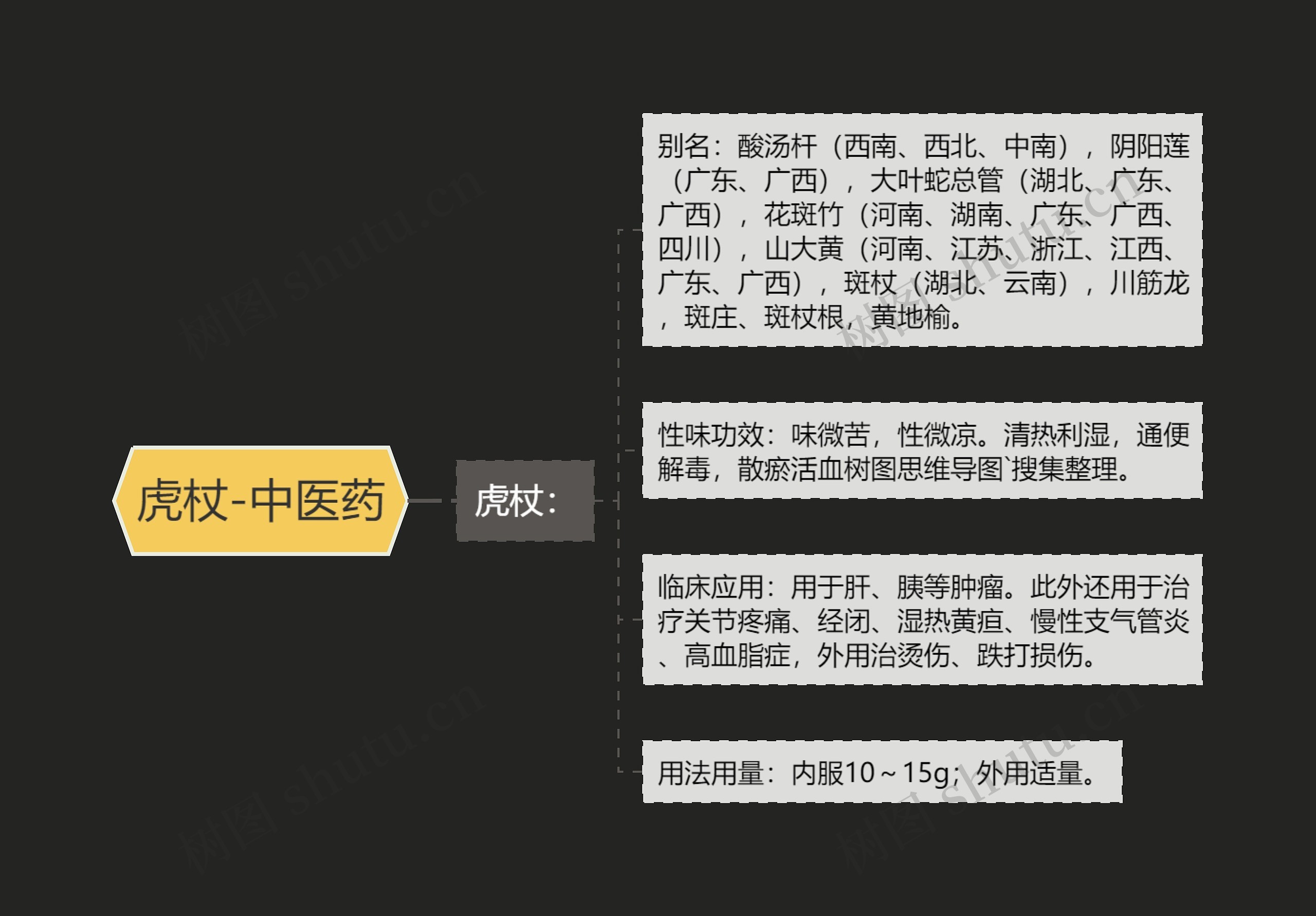 虎杖-中医药 虎杖-中医药