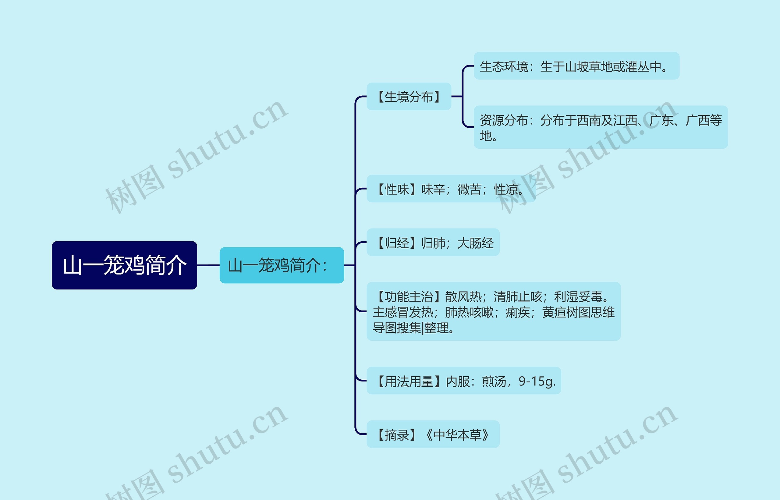 山一笼鸡简介