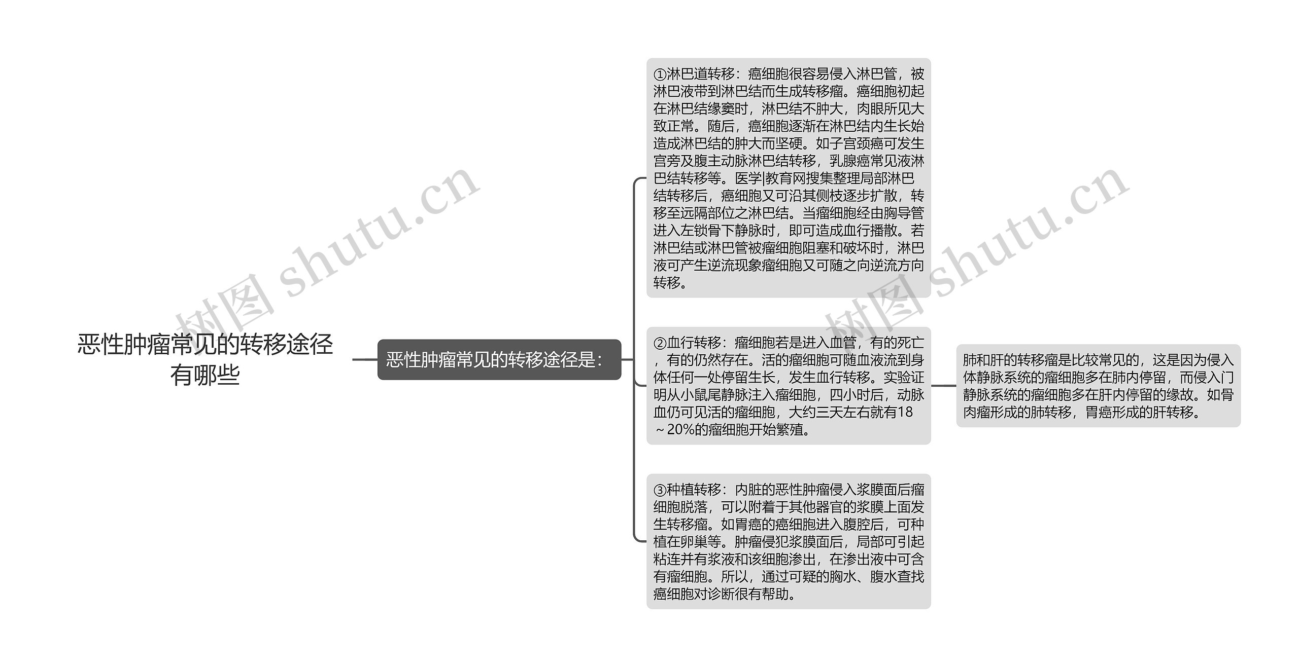 恶性肿瘤常见的转移途径有哪些思维导图