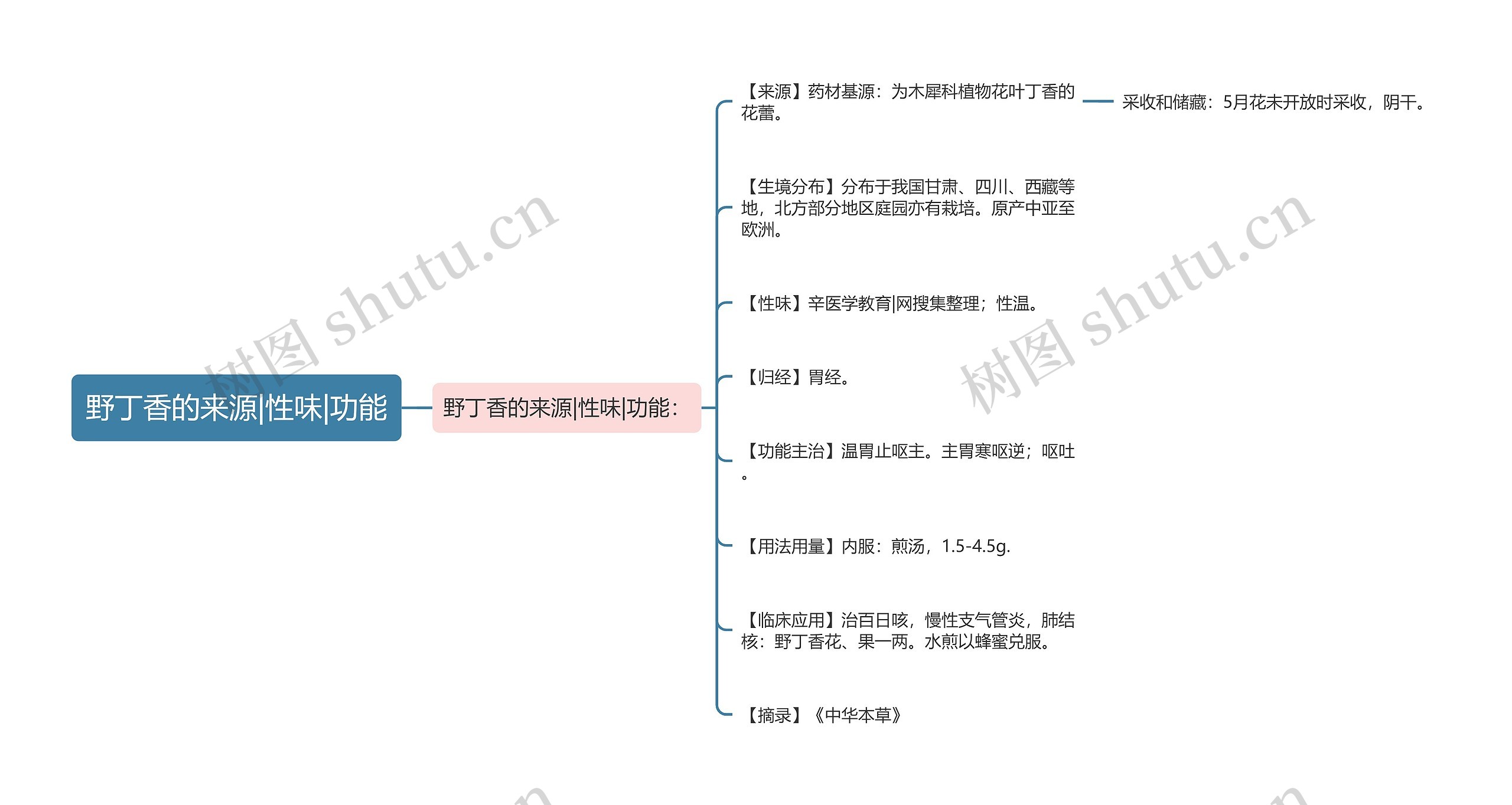 野丁香的来源|性味|功能思维导图