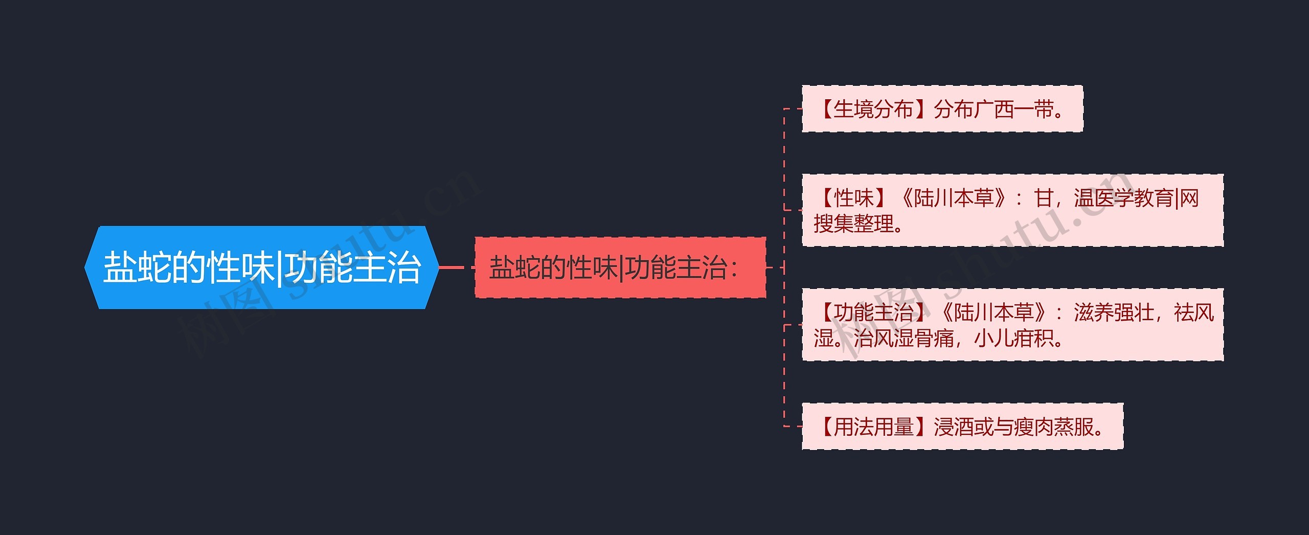 盐蛇的性味|功能主治思维导图