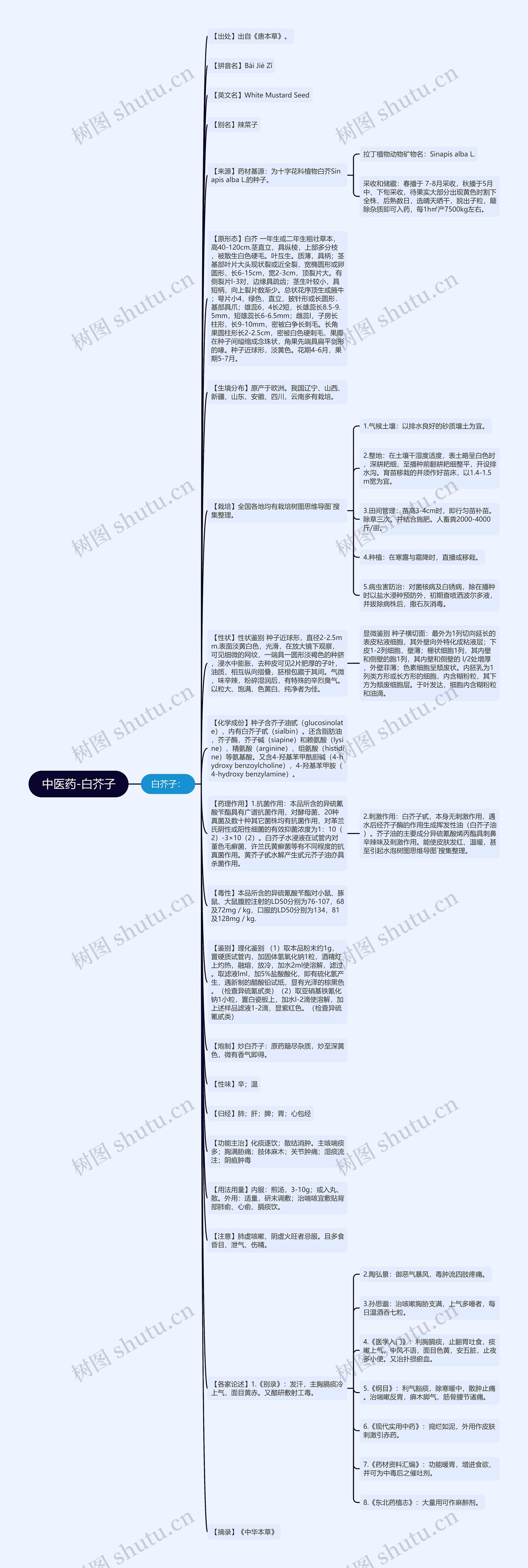 中医药-白芥子思维导图