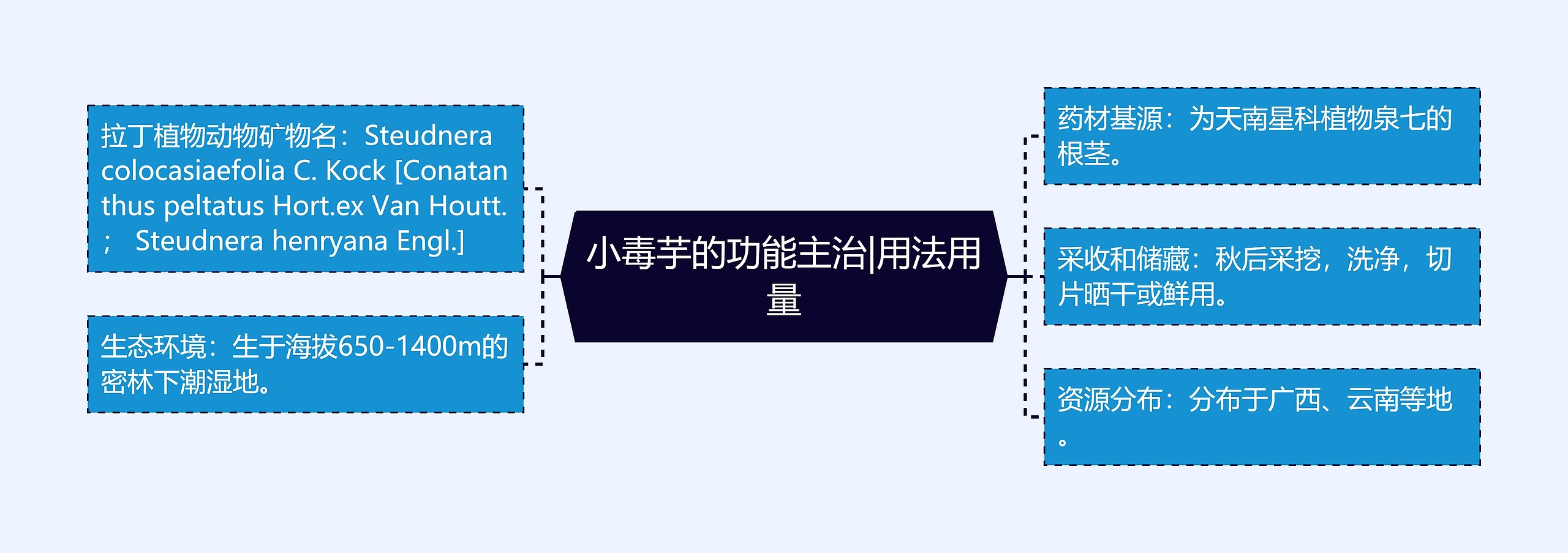 小毒芋的功能主治|用法用量 小毒芋的功能主治|用法用量