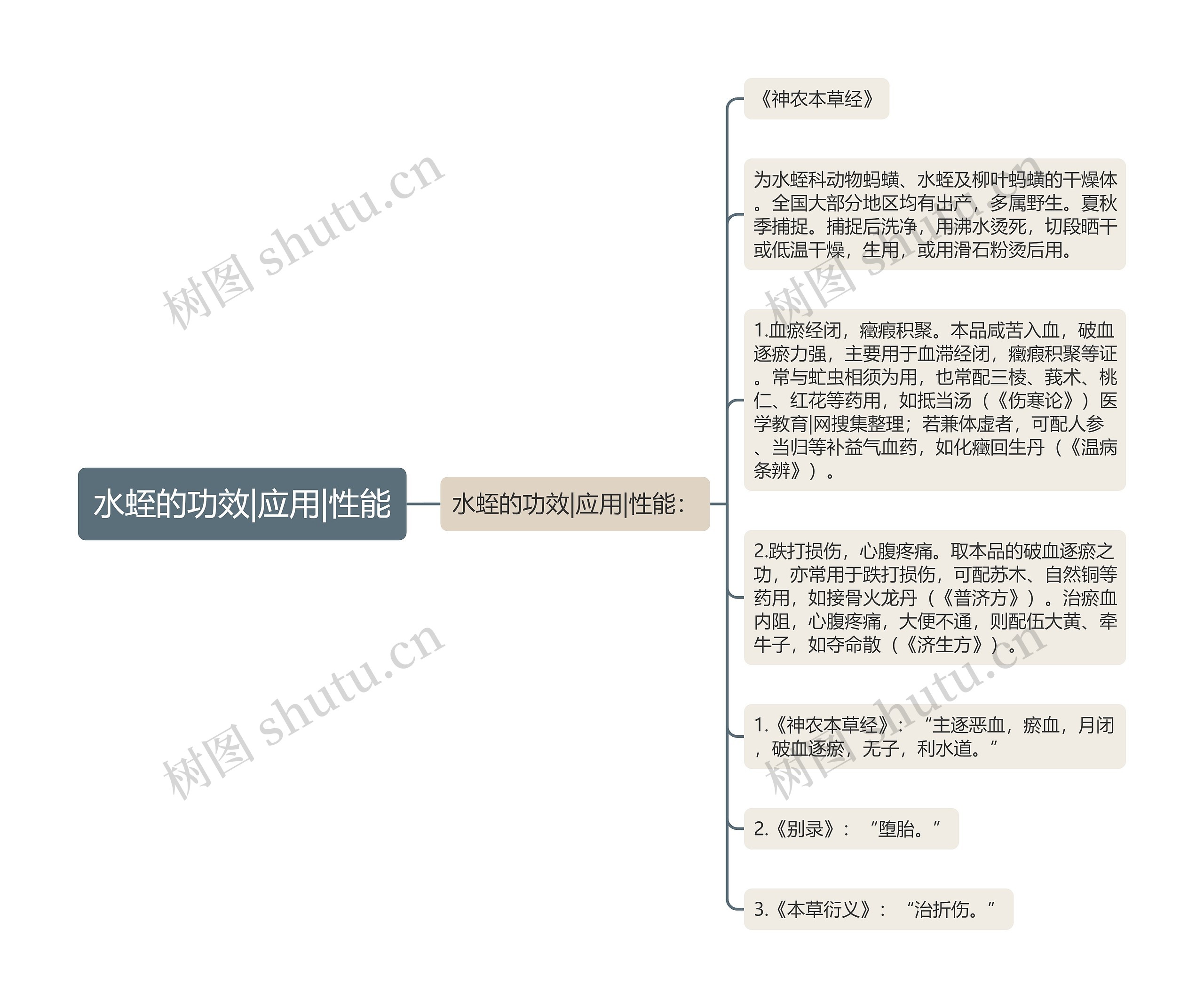 水蛭的功效|应用|性能思维导图