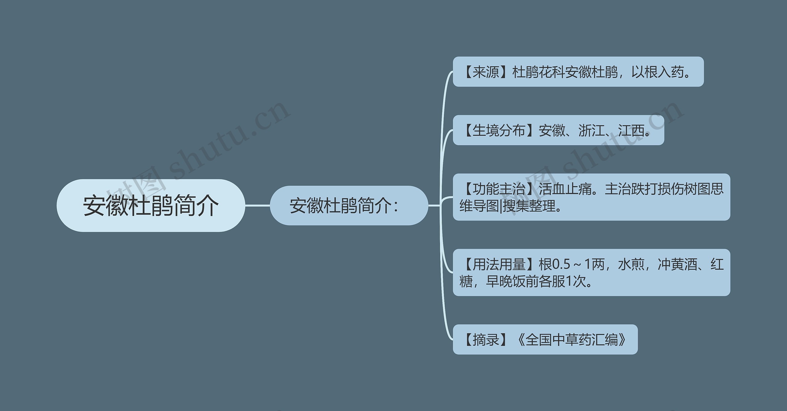 安徽杜鹃简介思维导图