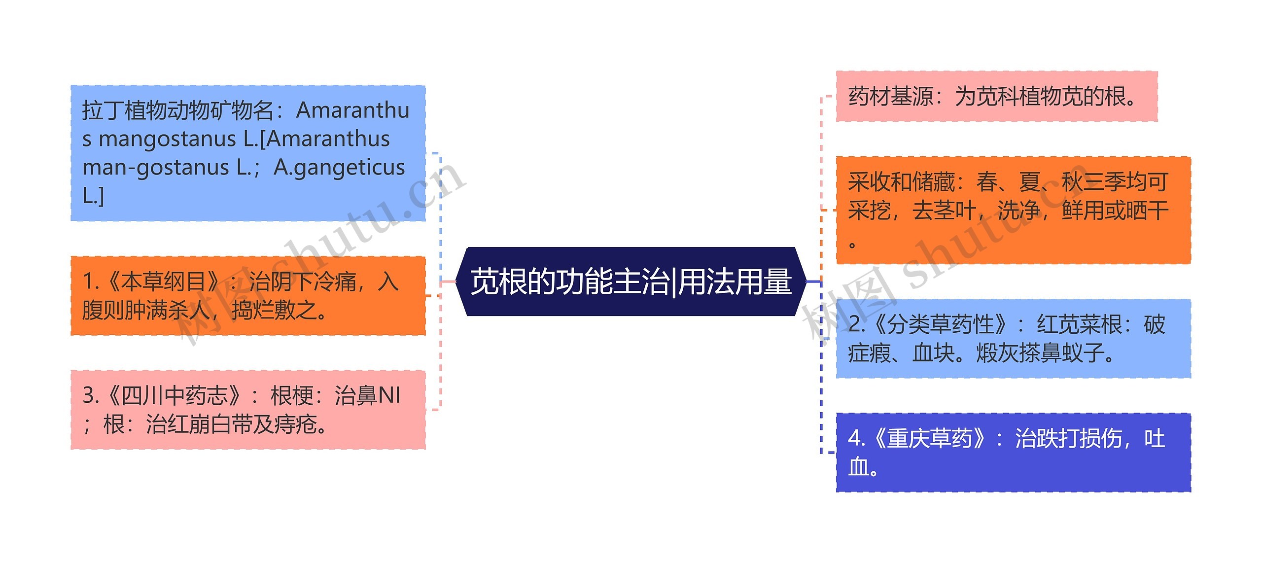 苋根的功能主治|用法用量思维导图