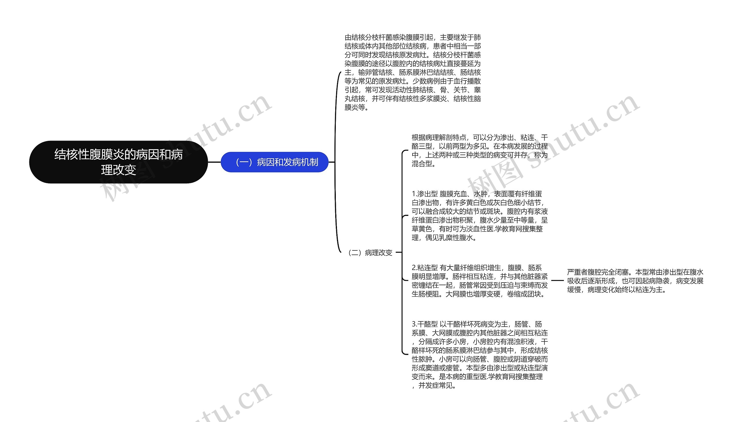 结核性腹膜炎的病因和病理改变思维导图