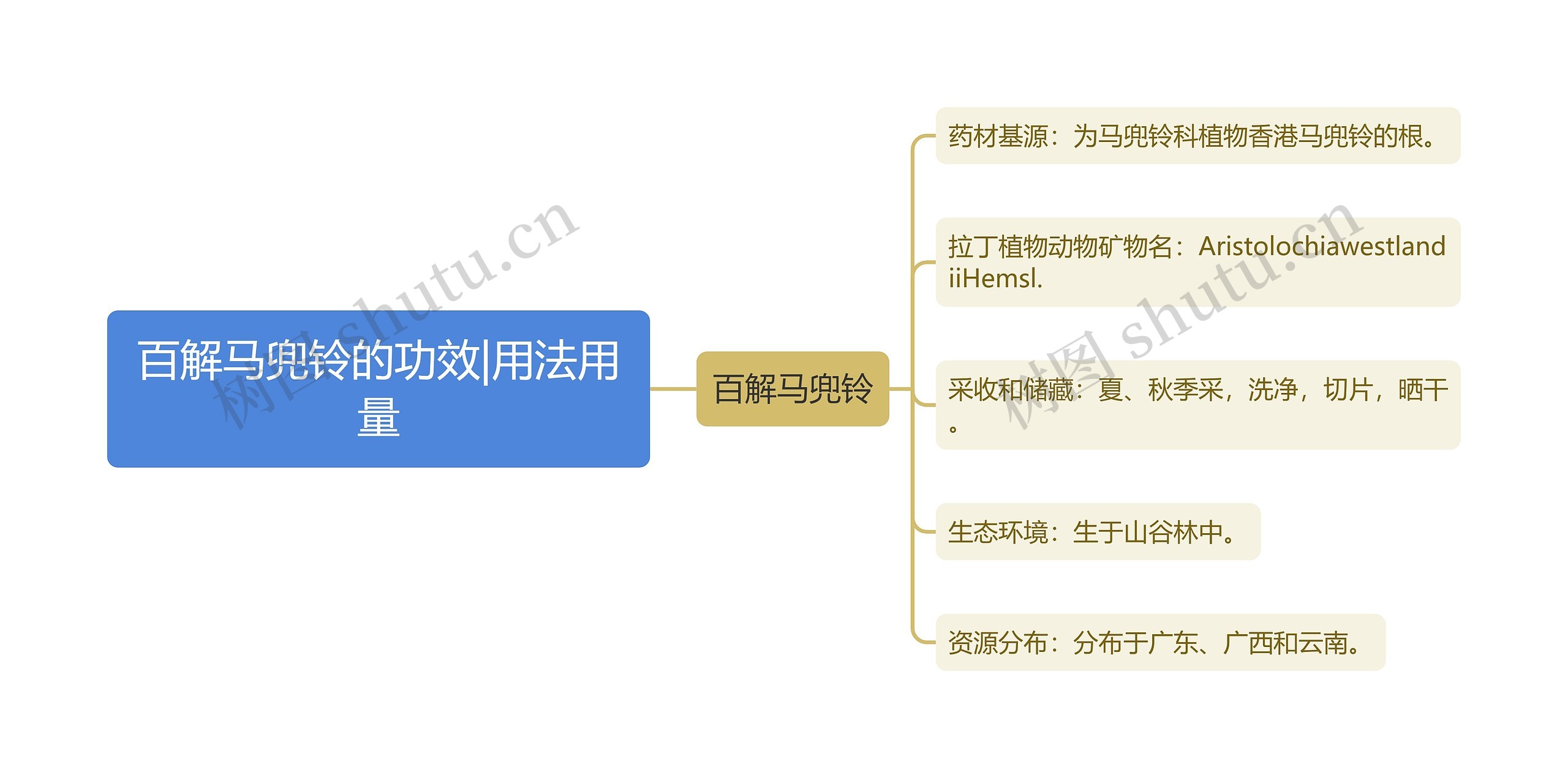 百解马兜铃的功效|用法用量