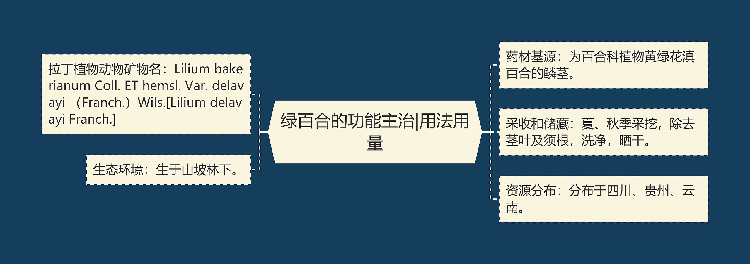 绿百合的功能主治|用法用量 绿百合的功能主治|用法用量