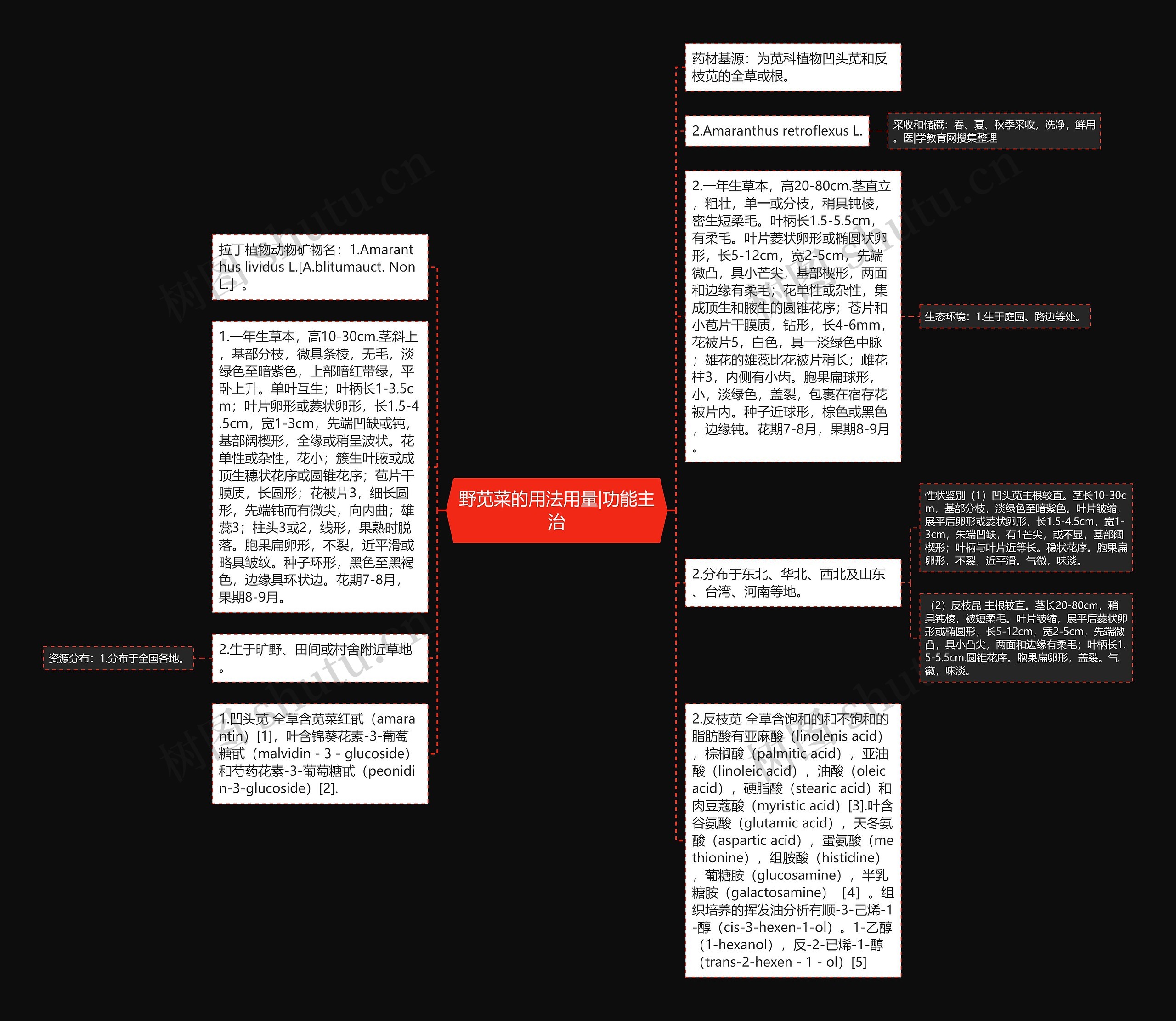 野苋菜的用法用量|功能主治思维导图
