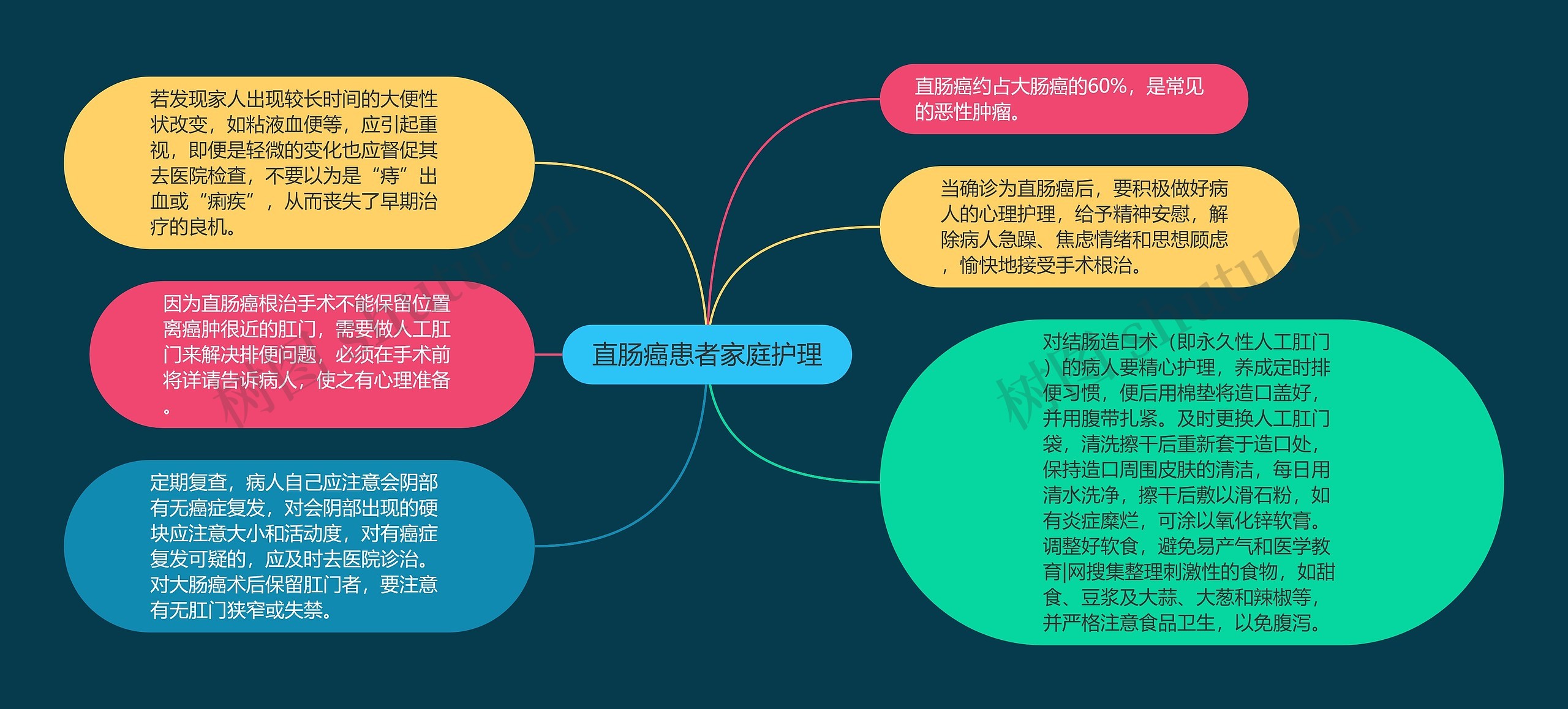 直肠癌患者家庭护理思维导图