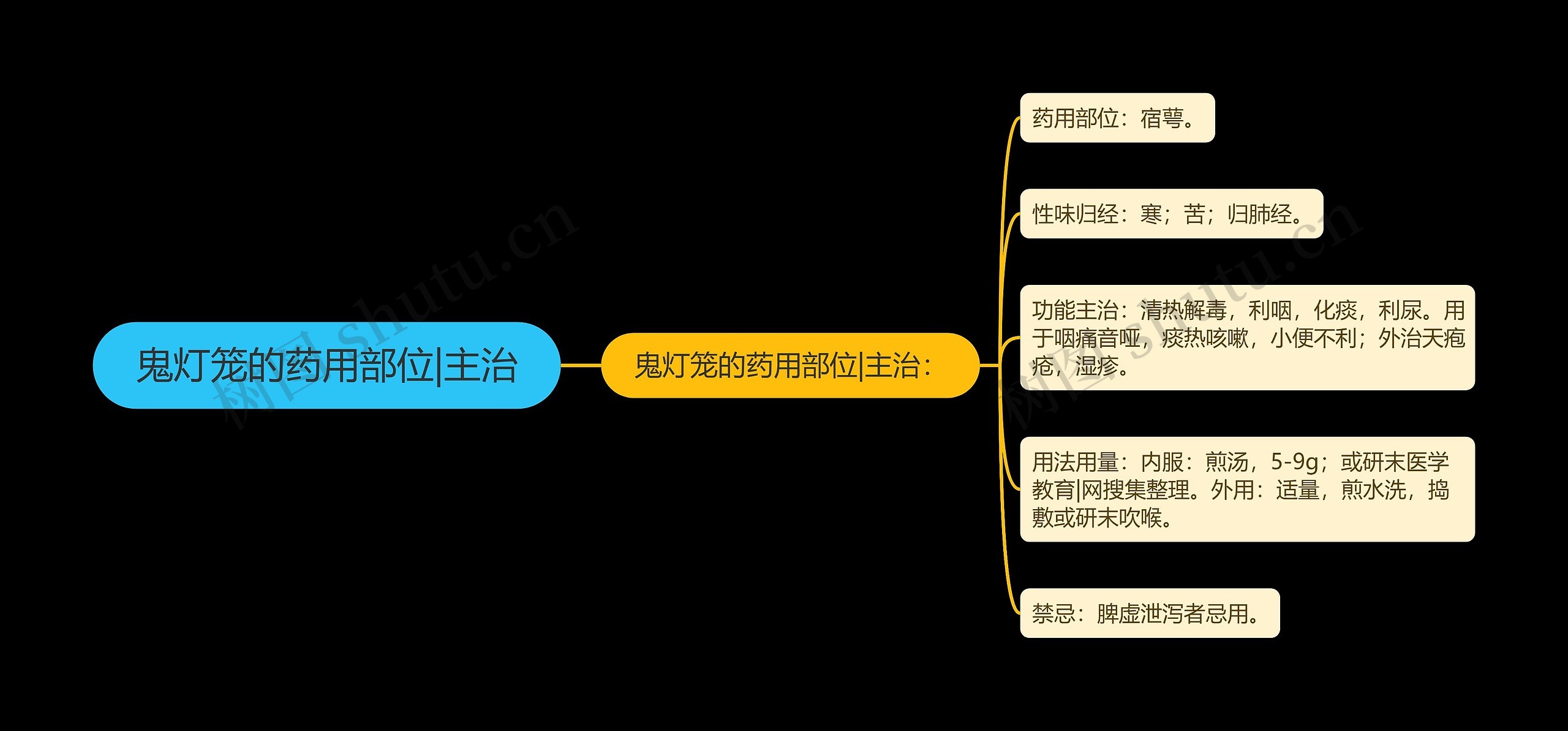 鬼灯笼的药用部位|主治思维导图