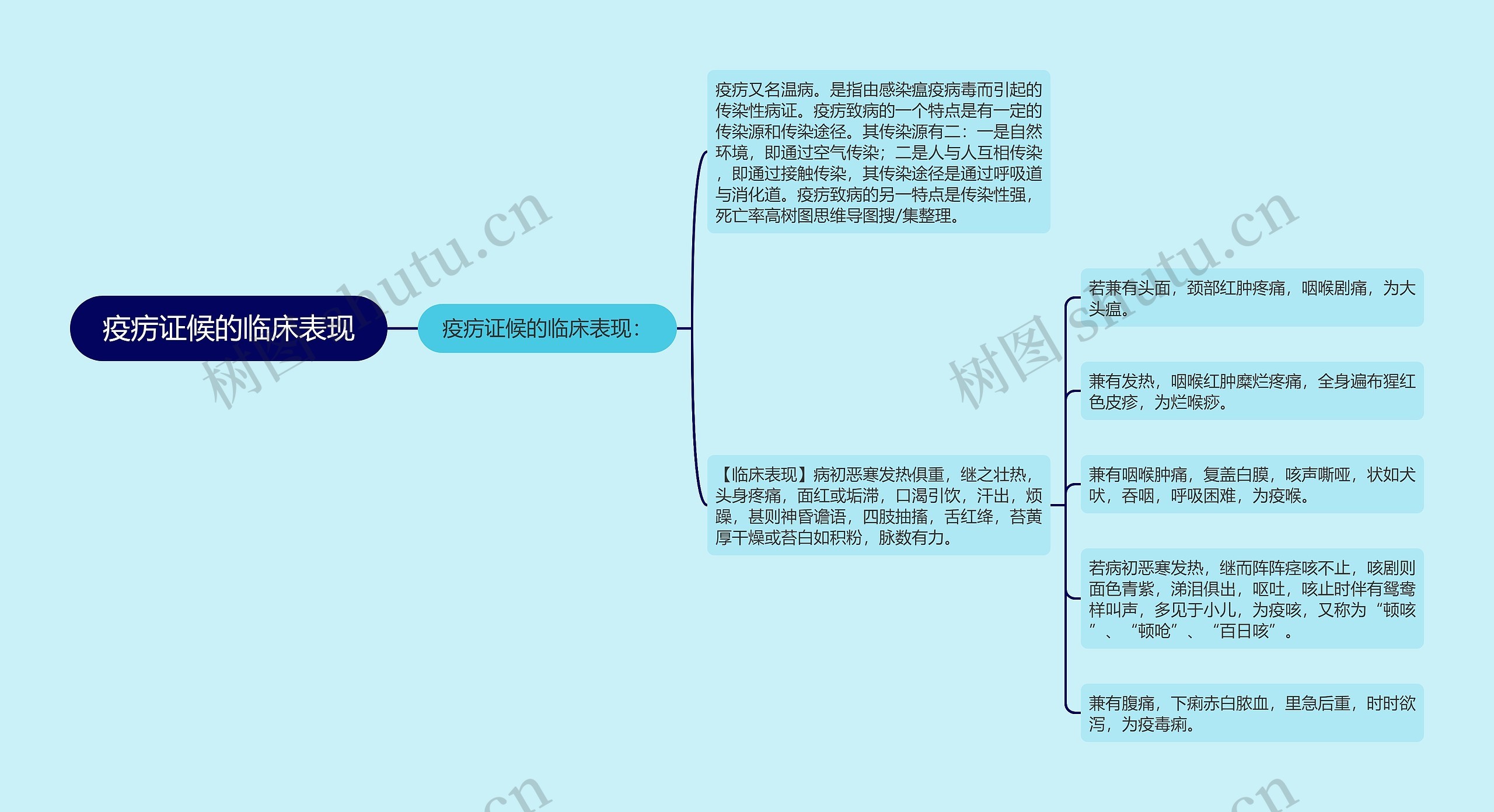 疫疠证候的临床表现