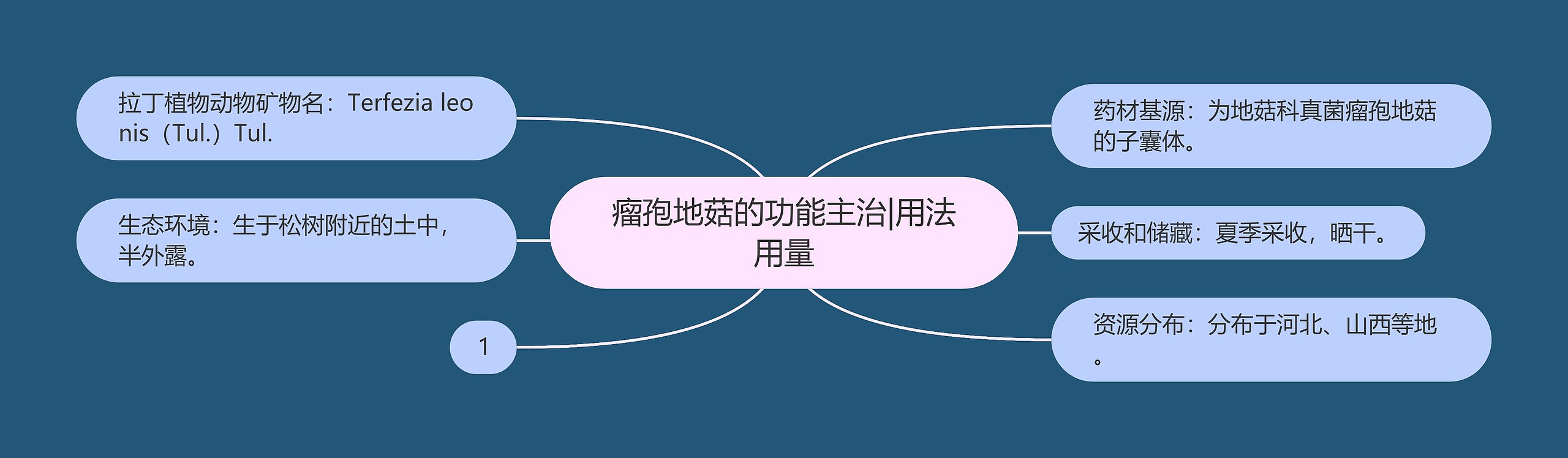 瘤孢地菇的功能主治|用法用量 瘤孢地菇的功能主治|用法用量