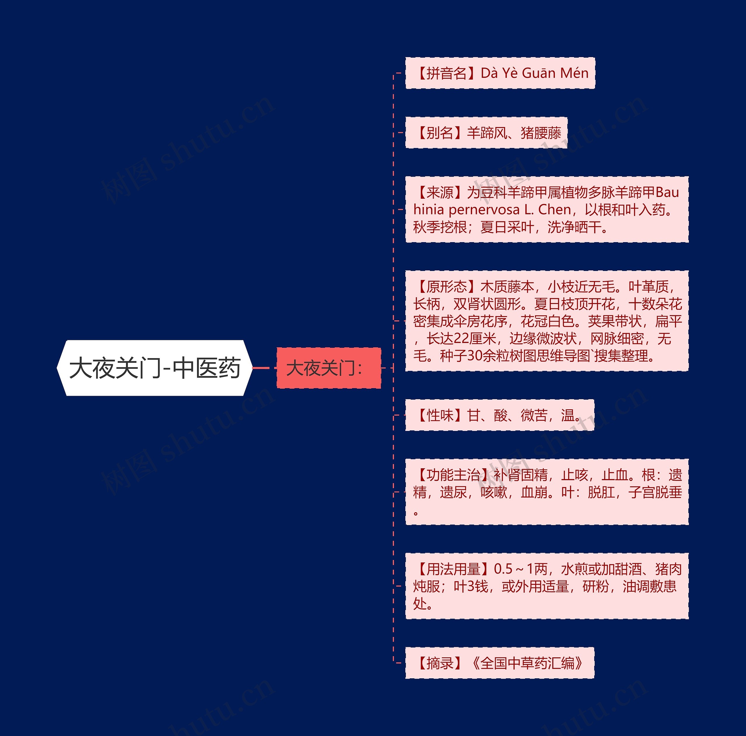 大夜关门-中医药思维导图