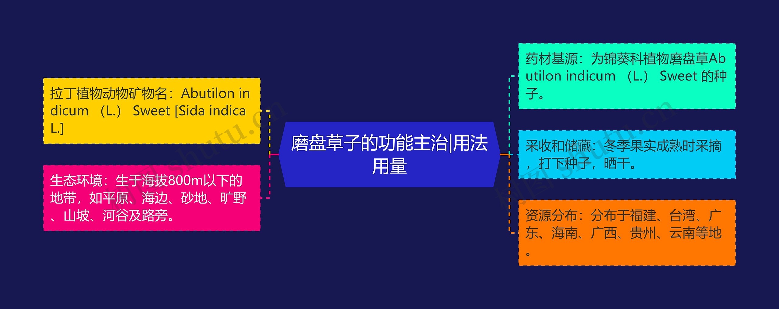 磨盘草子的功能主治|用法用量 磨盘草子的功能主治|用法用量