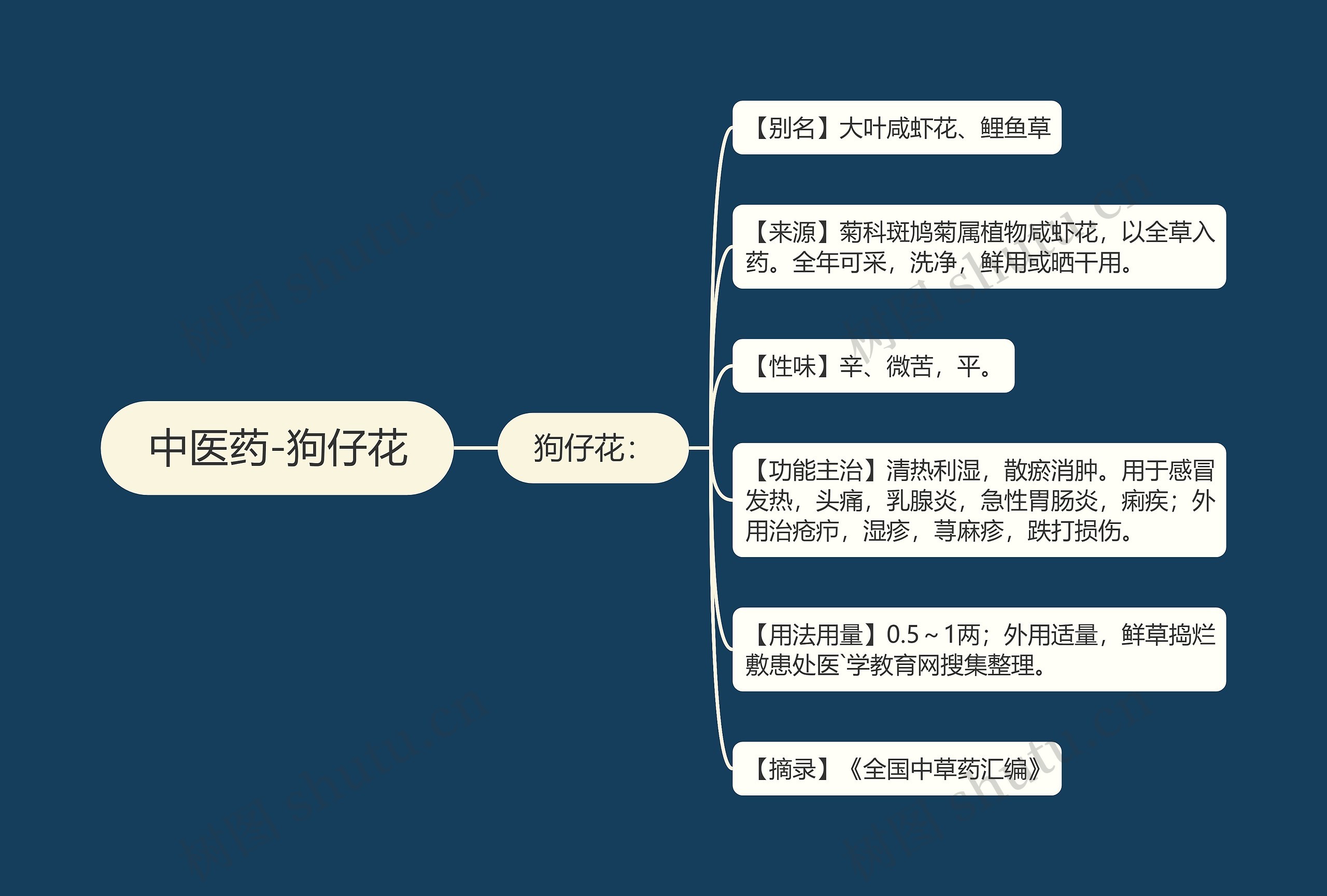 中医药-狗仔花思维导图