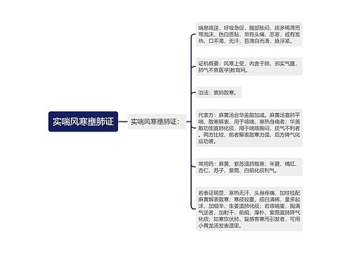 实喘风寒壅肺证