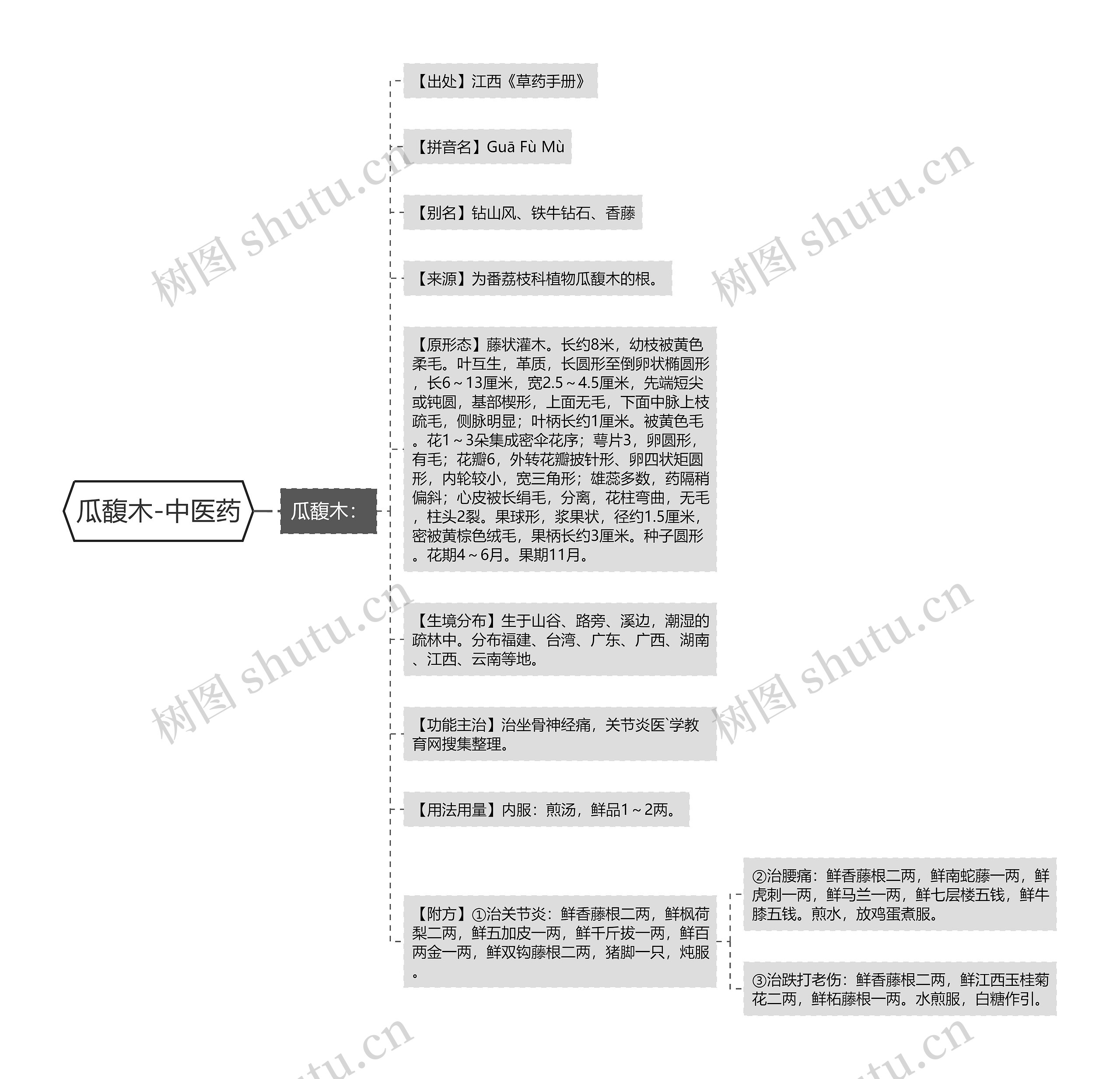 瓜馥木-中医药思维导图