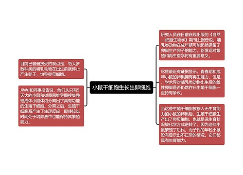 小鼠干细胞生长出卵细胞