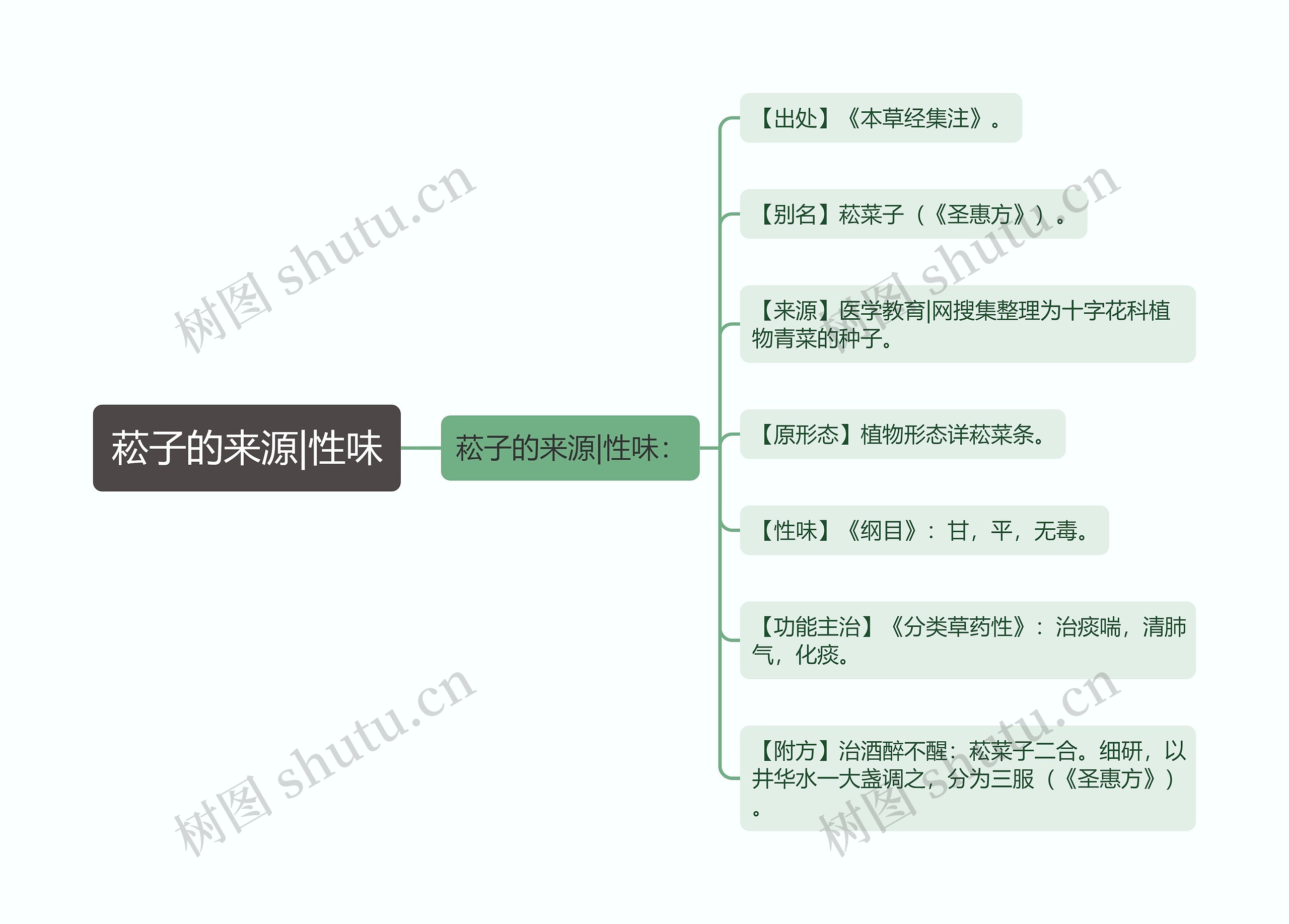 菘子的来源|性味思维导图