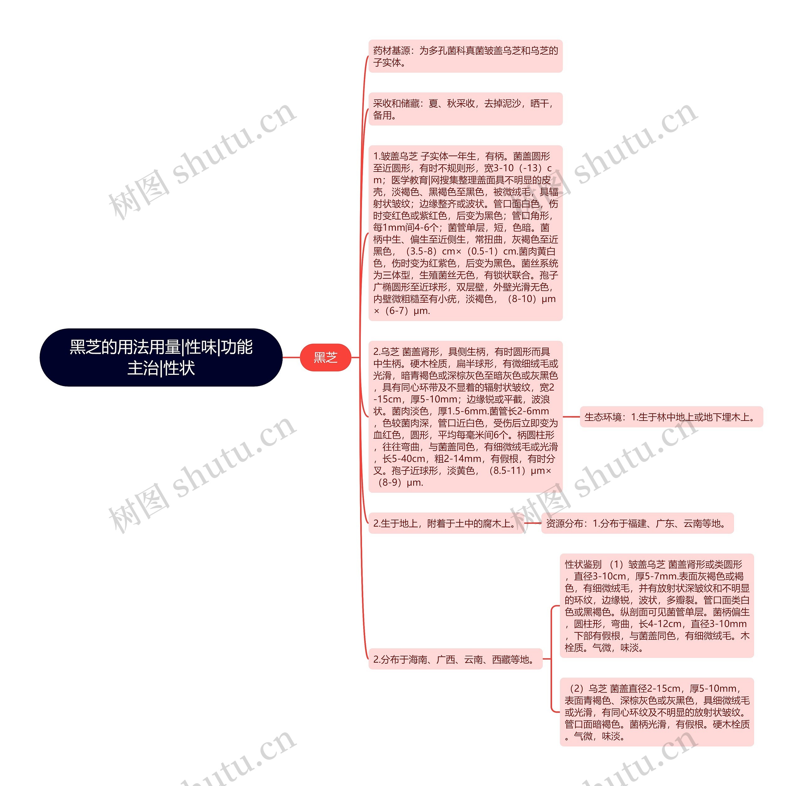 黑芝的用法用量|性味|功能主治|性状思维导图