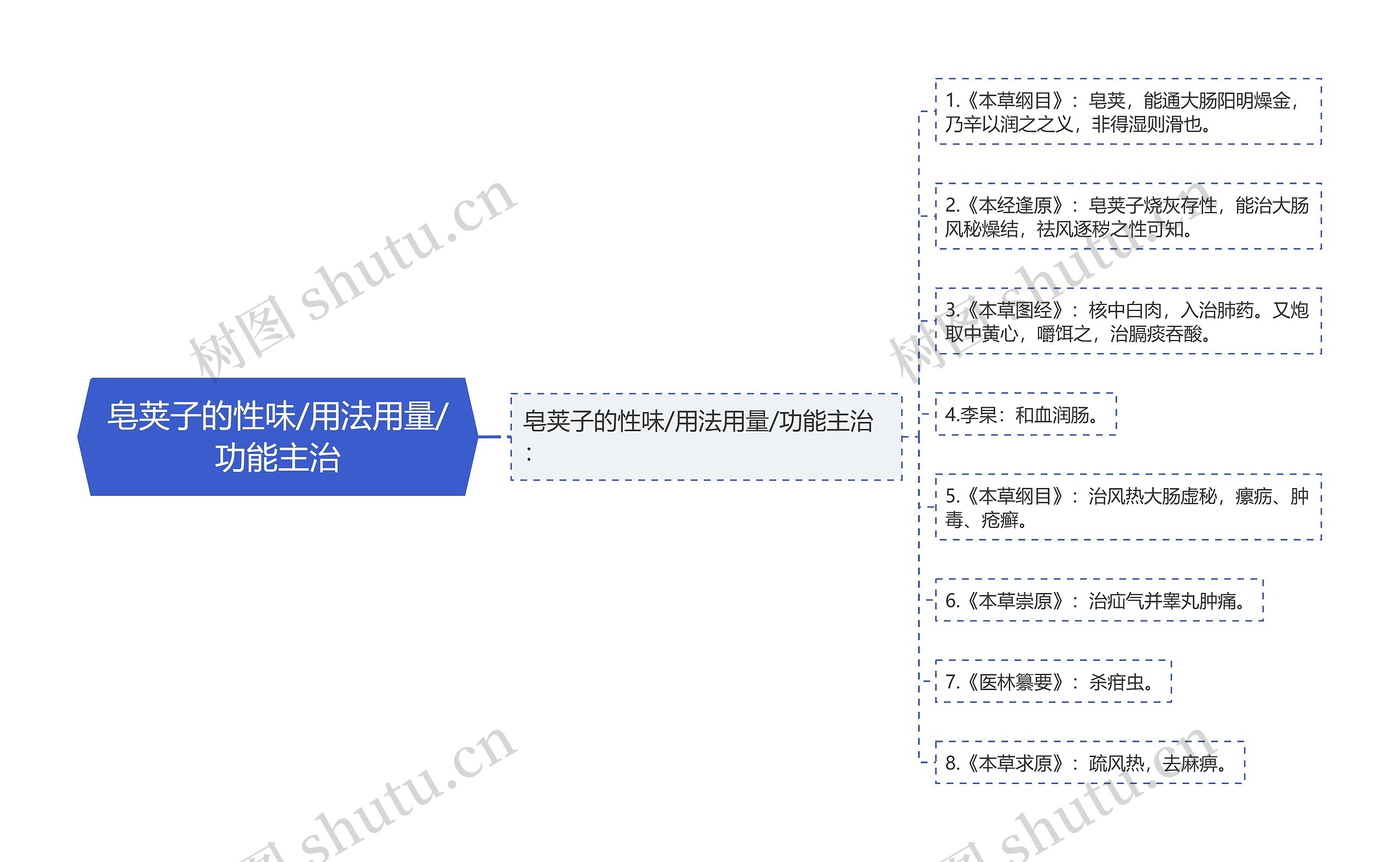 皂荚子的性味/用法用量/功能主治思维导图