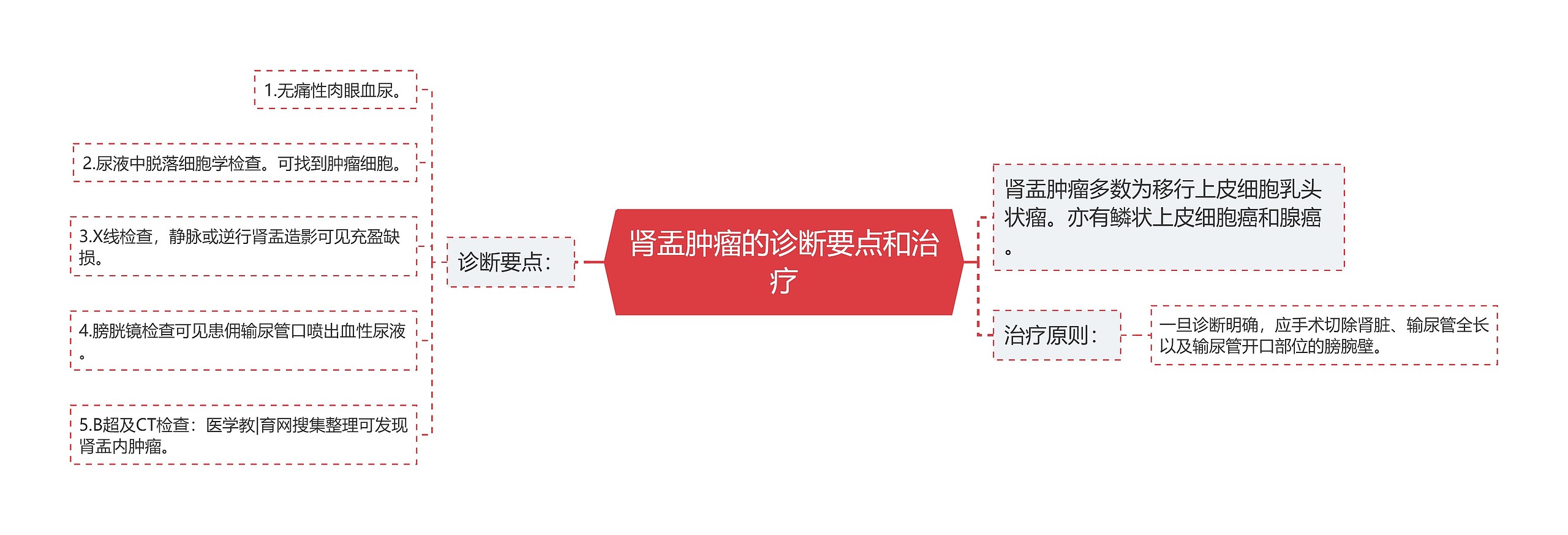 肾盂肿瘤的诊断要点和治疗思维导图